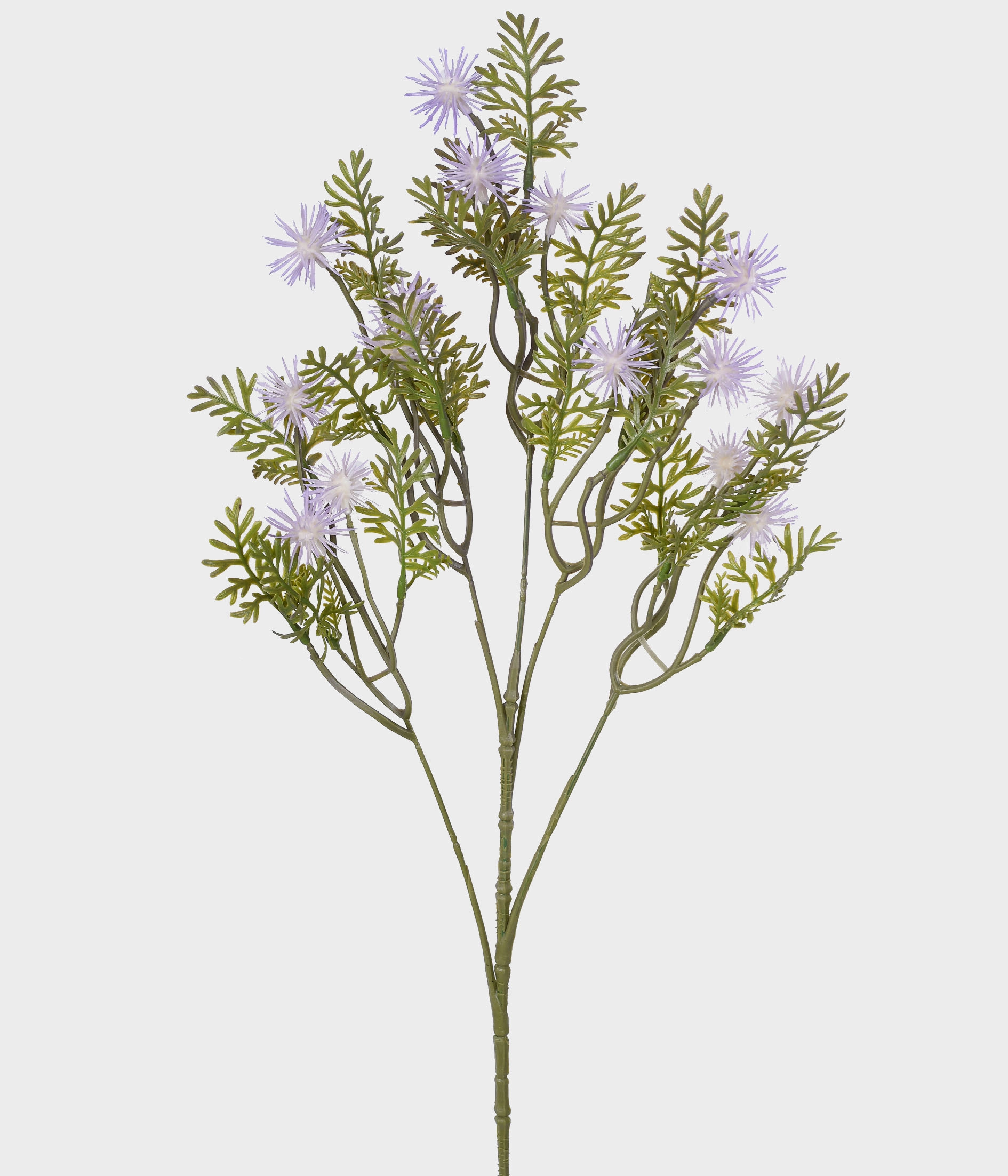 Haste Rambutao X5 Lavanda 53011 031 Grillo