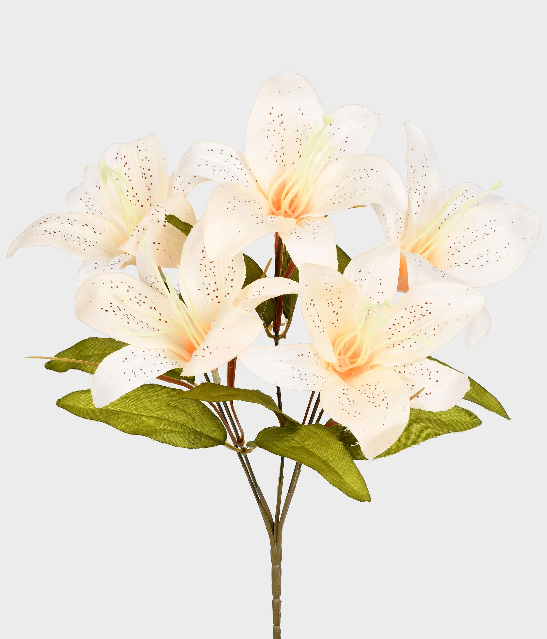 Buque Misto Rosa Margarida X11 53.431 539 Grillo
