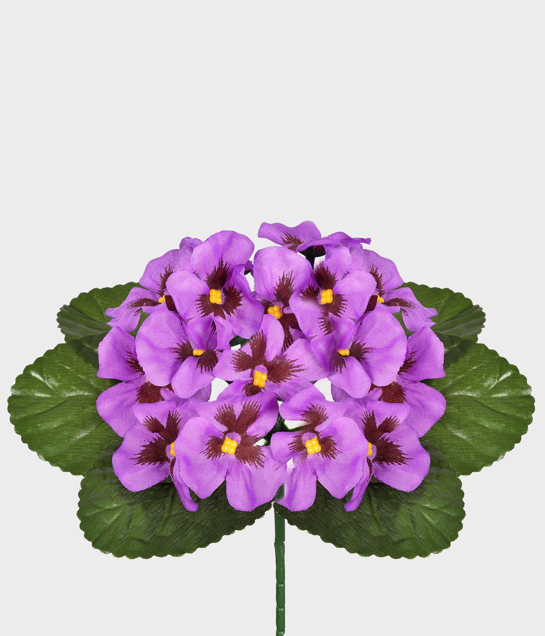 Buque Amor Perfeito Violeta X15 53.446 031 Grillo