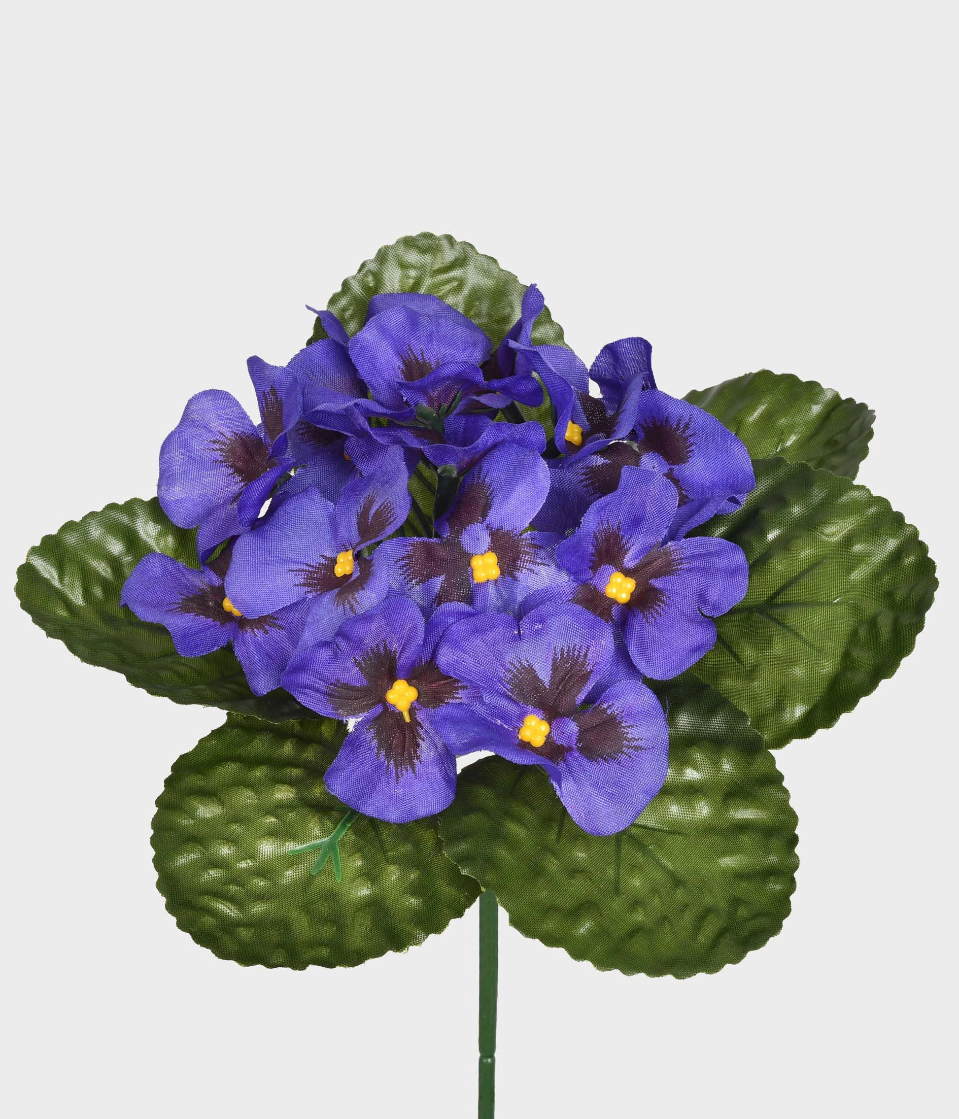 Buque Amor Perfeito Violeta X15 53.446 479 Grillo