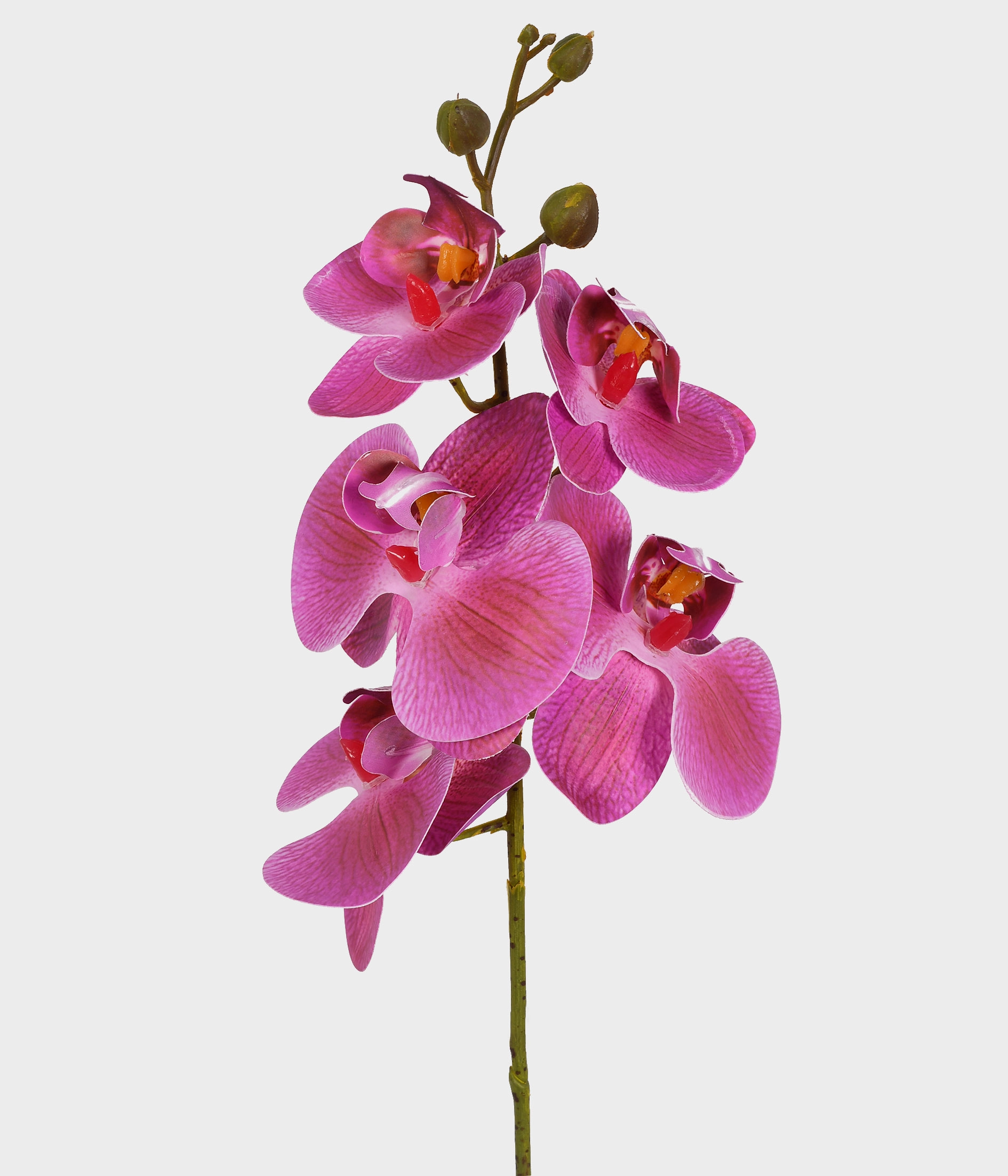 Ht Orquidea Phalaenopsis X5 3d Lavanda Ref 53475 031
