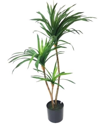 Folhagem Dracena Real Toque X3 52.508 243 Grillo