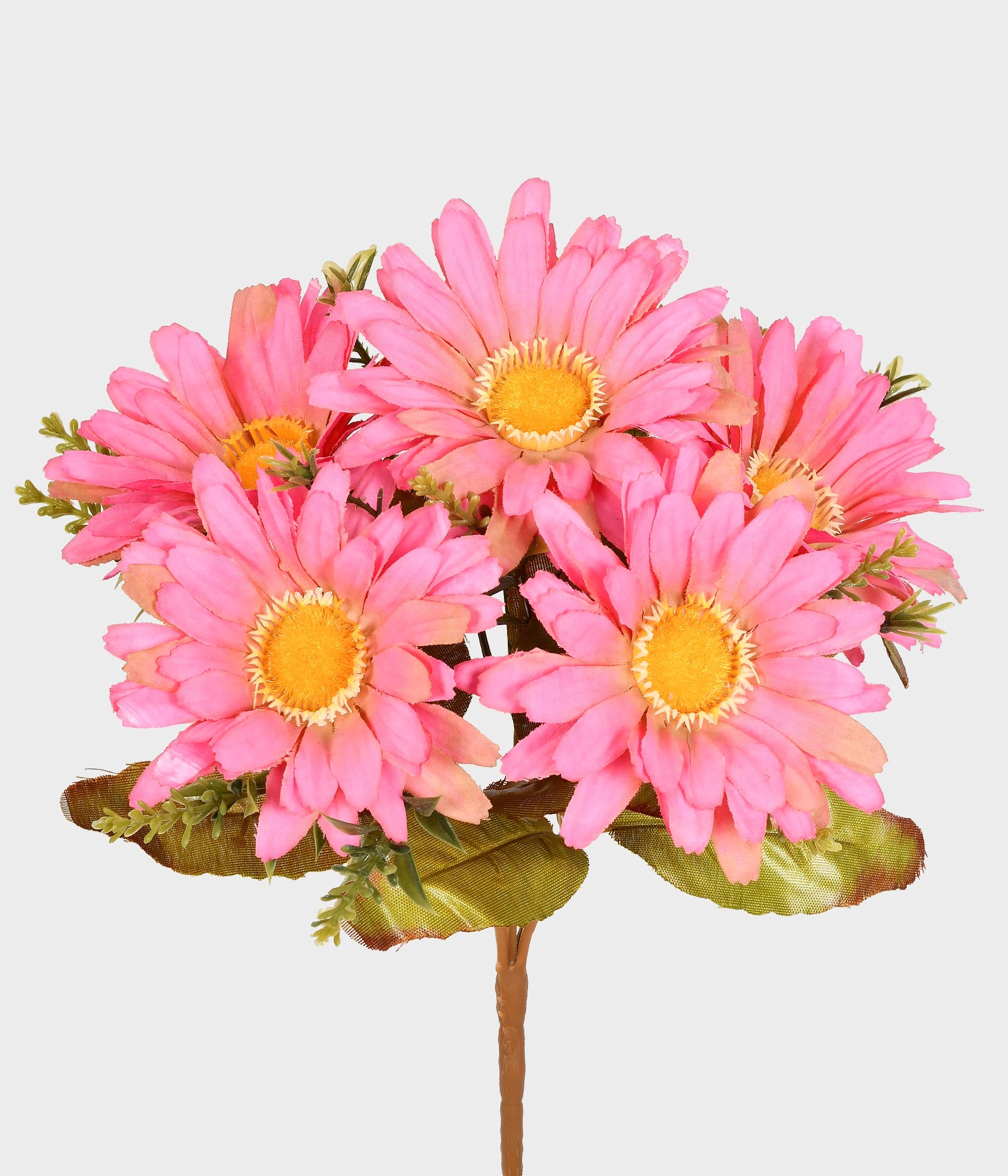 Buque Gerbera X5 53.547 333 Grillo