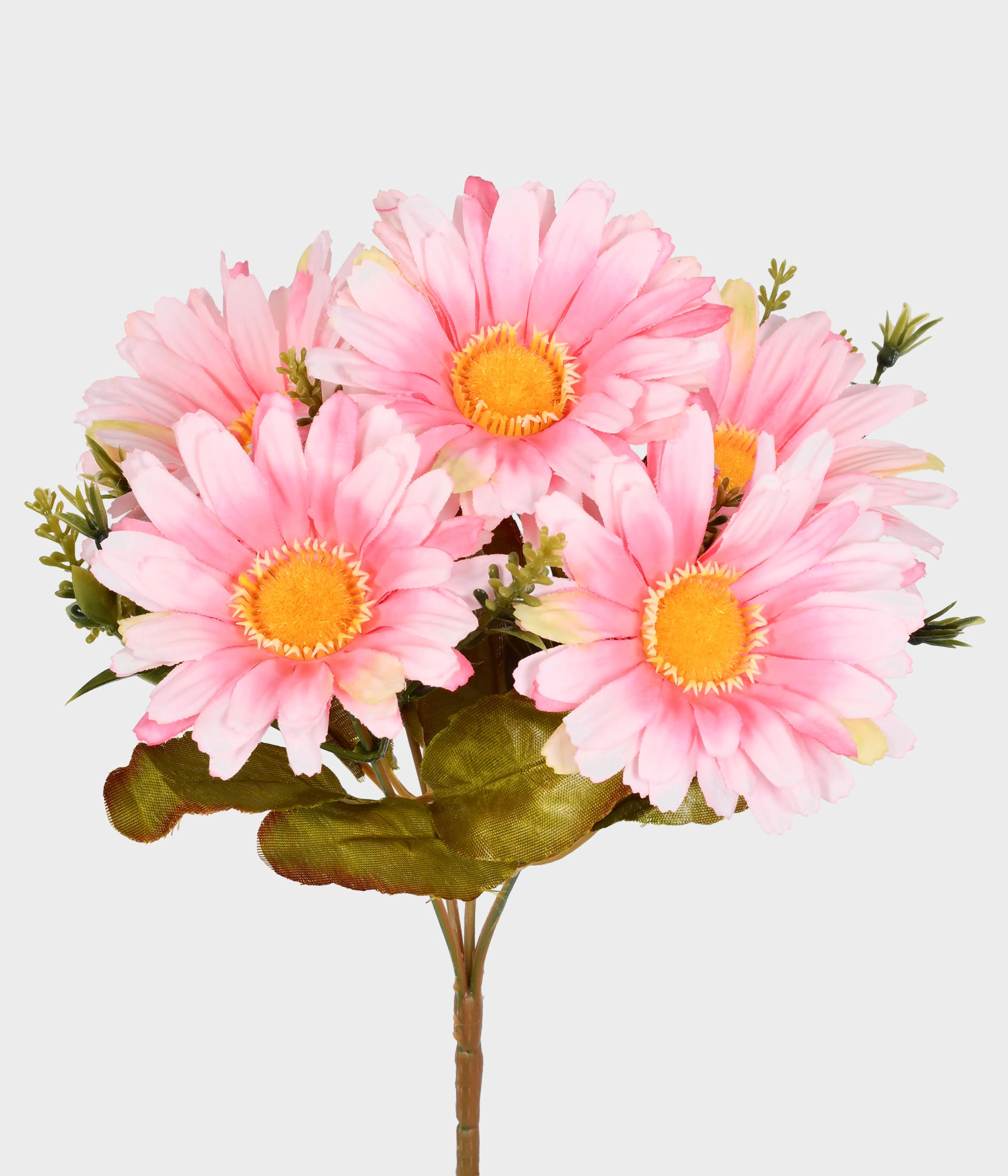 Buque Gerbera X5 53.547 119 Grillo