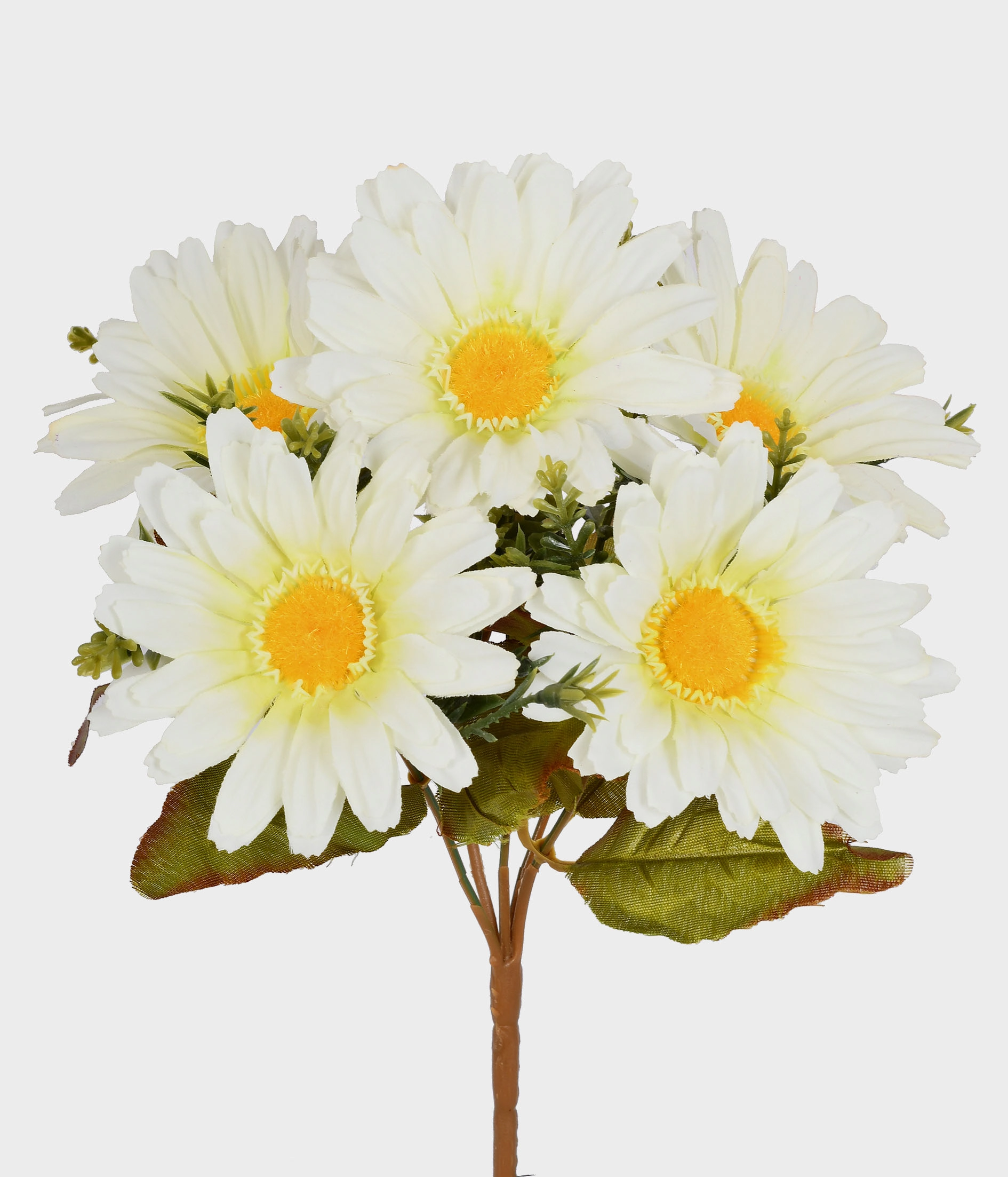 Buque Gerbera X5 53.547 010 Grillo