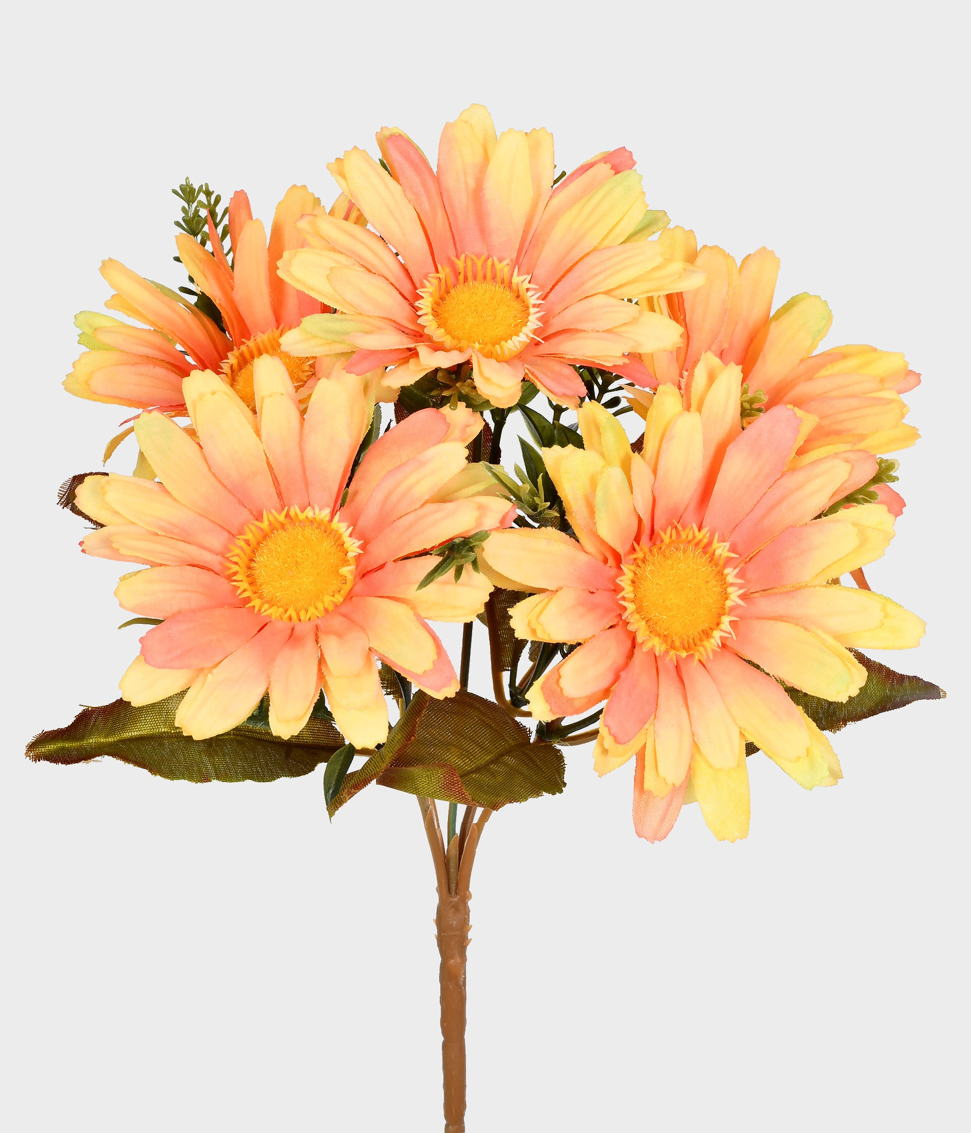 Buque Gerbera X5 53.547 269 Grillo