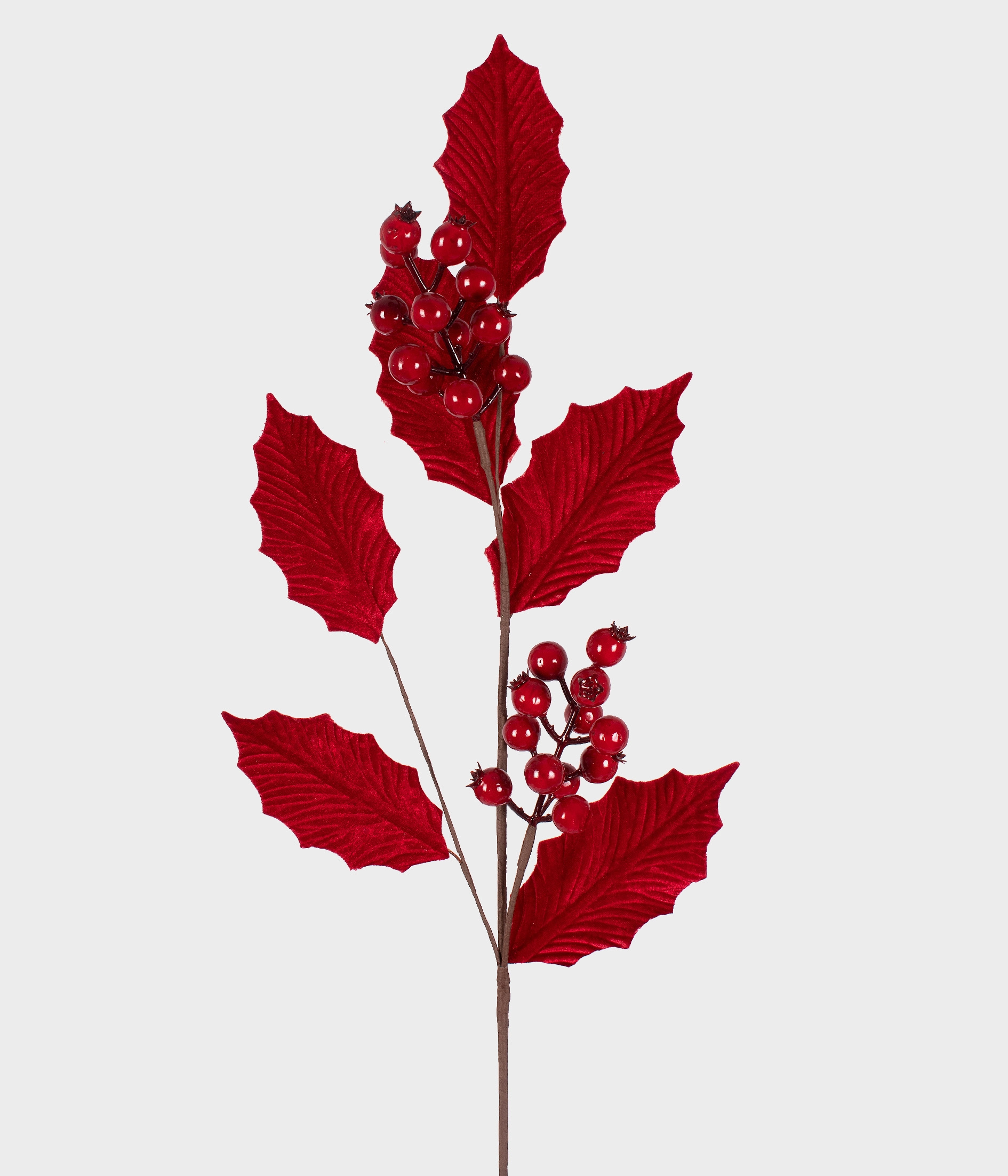 Haste Folhas Berries 53746 009 Grillo