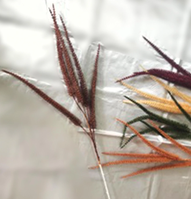 Haste Cattail X5 54543 243 Grillo