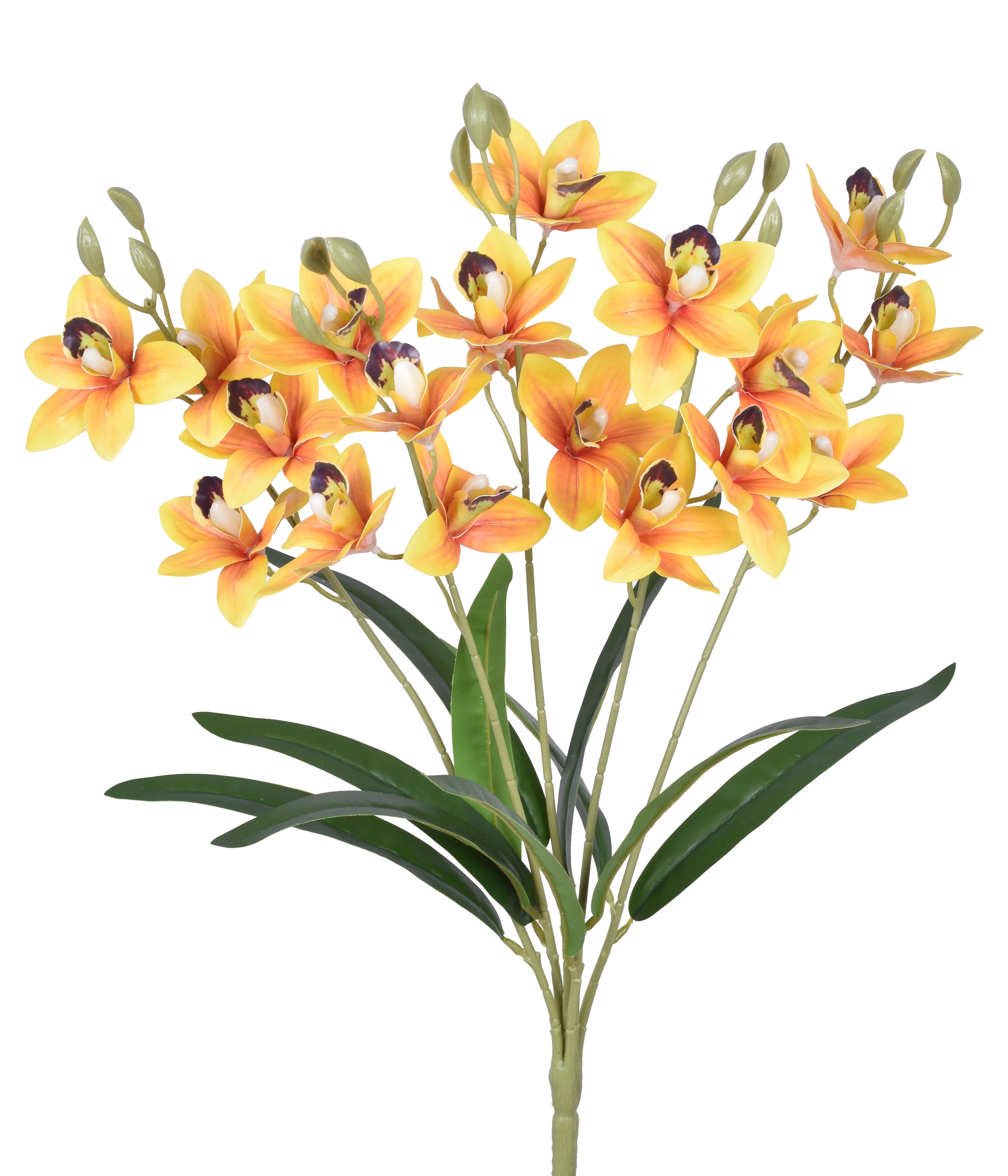 Buque Orquidea Cymbidium 3d X5 Amarelo 54632 005 Grillo