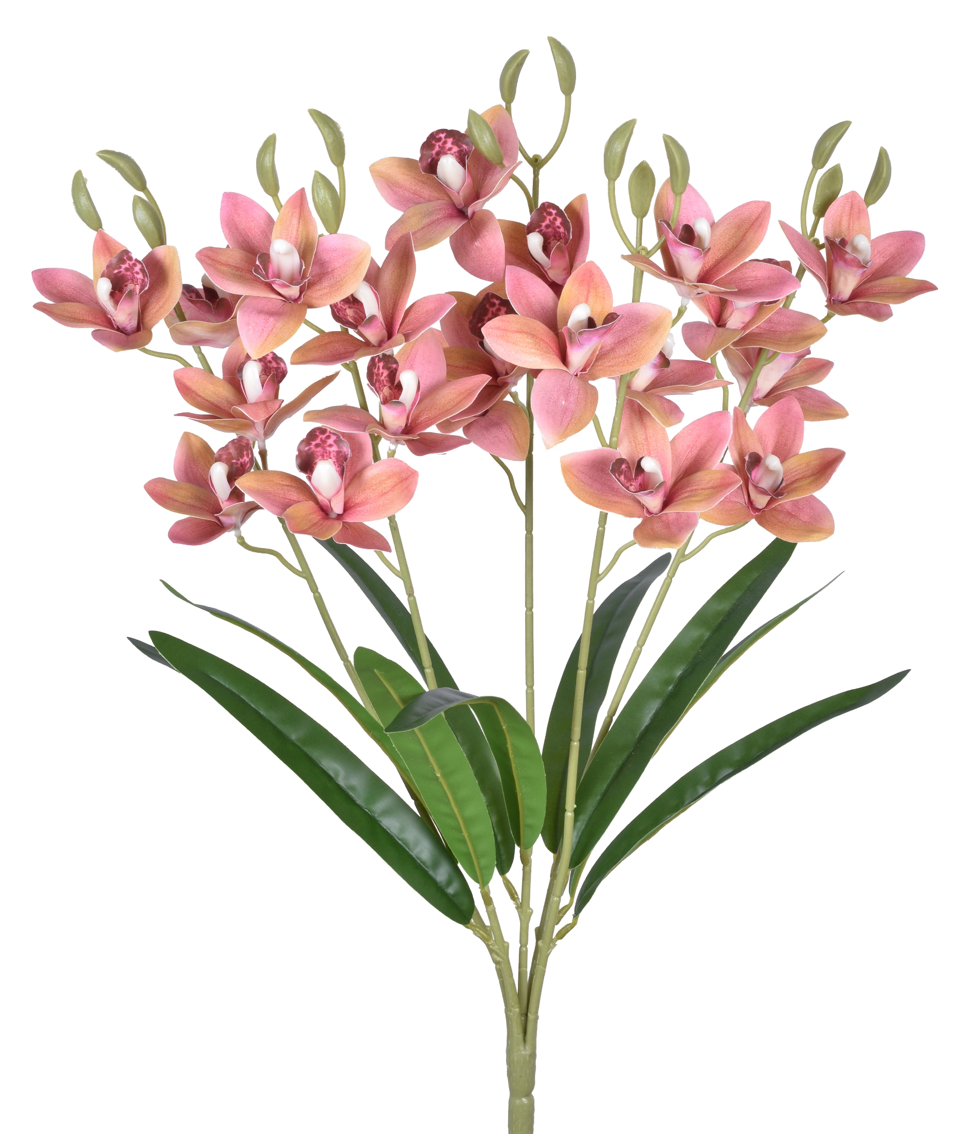 Buque Orquidea Cymbidium 3d X5 Rosa 54632 018 Grillo