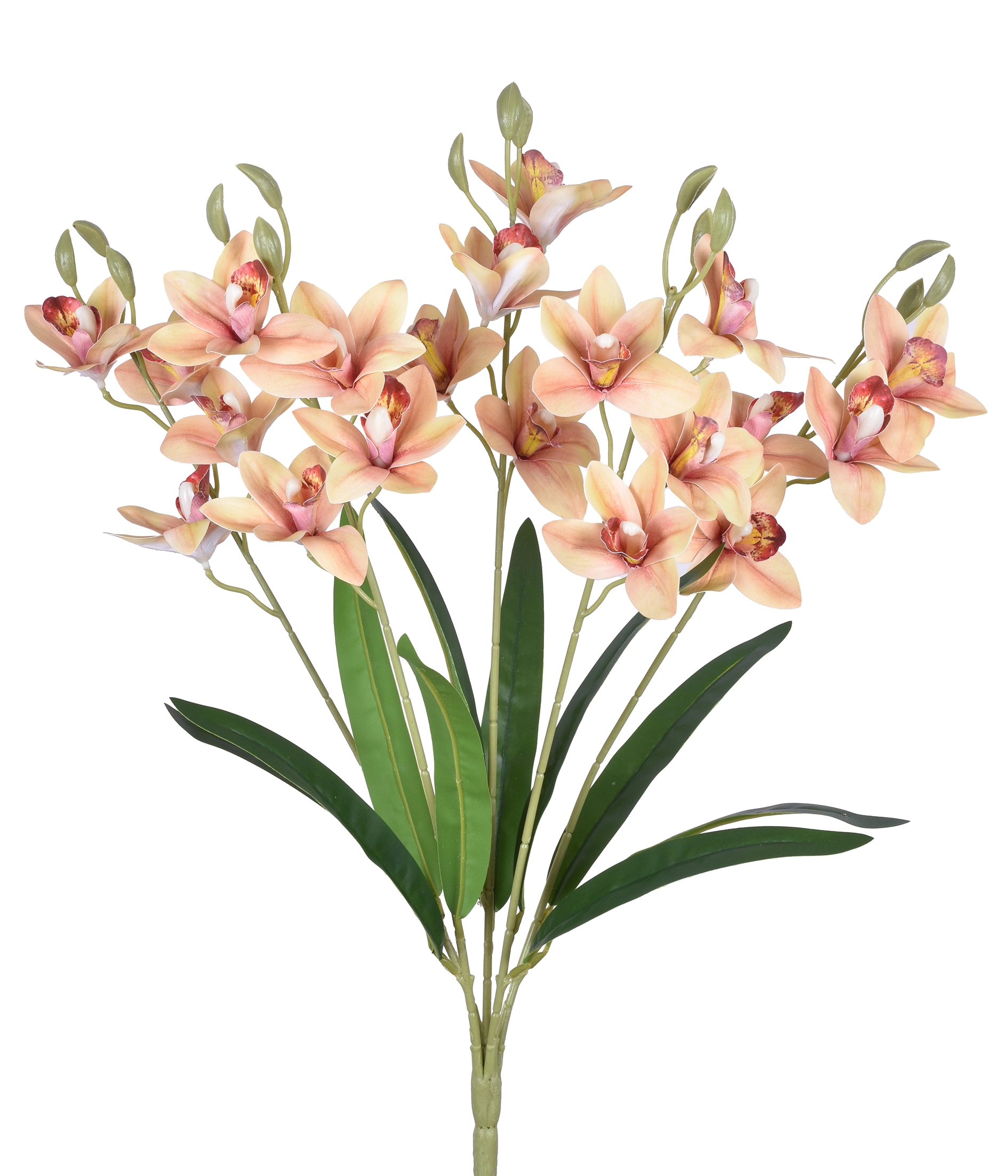 Buque Orquidea Cymbidium 3d X5 Salmao 54632 011 Grillo