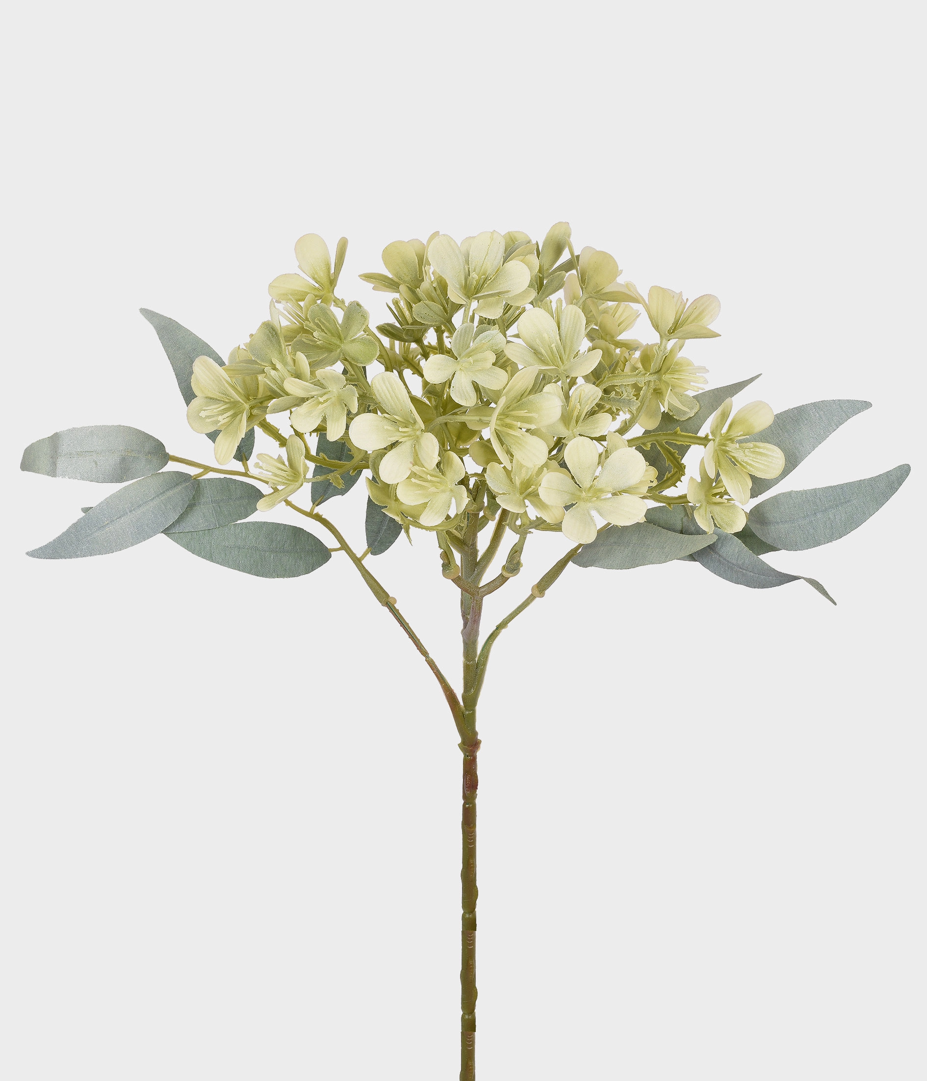 Haste Flor Silvestre X14 55278 098 Grillo