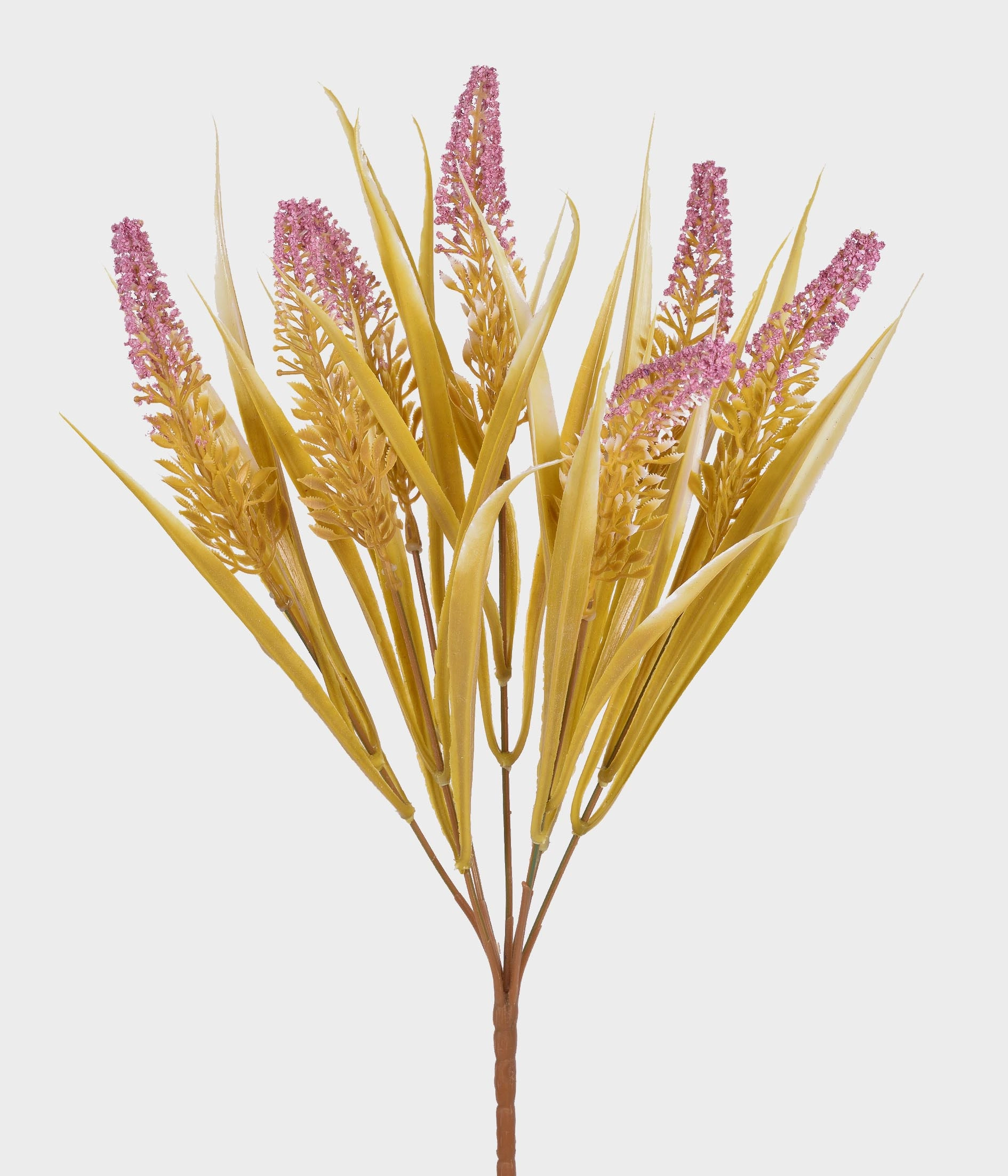 Buque Cattail X7 55283 031 Grillo