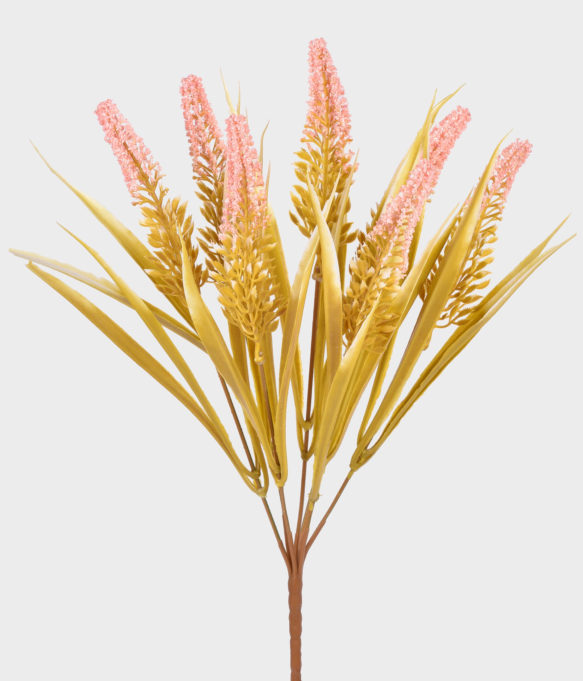 Buque Cattail X7 55283 018 Grillo