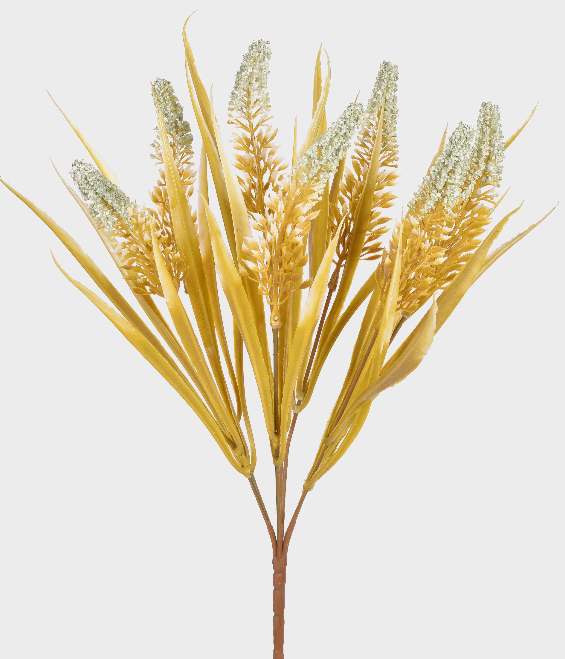 Buque Cattail X7 55283 001 Grillo