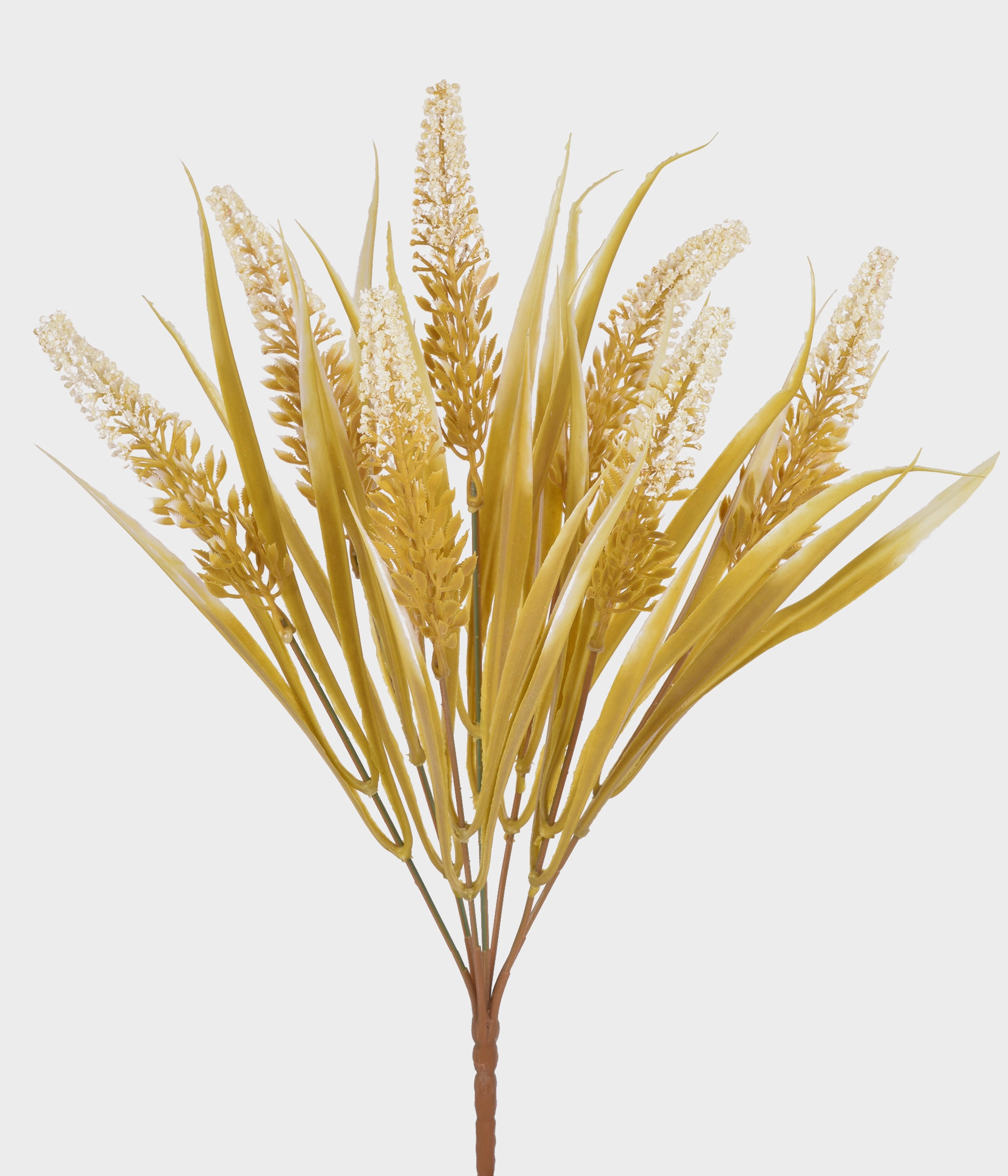 Buque Cattail X7 55283 010 Grillo