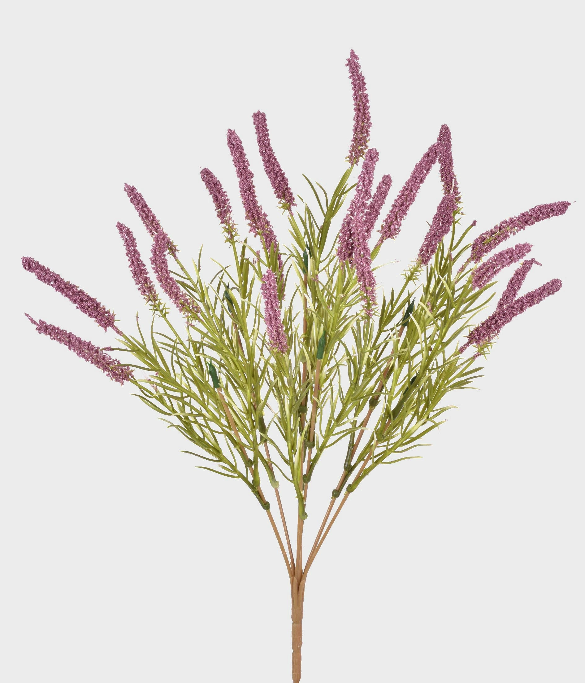 Buque Cattail X7 55288 031 Grillo