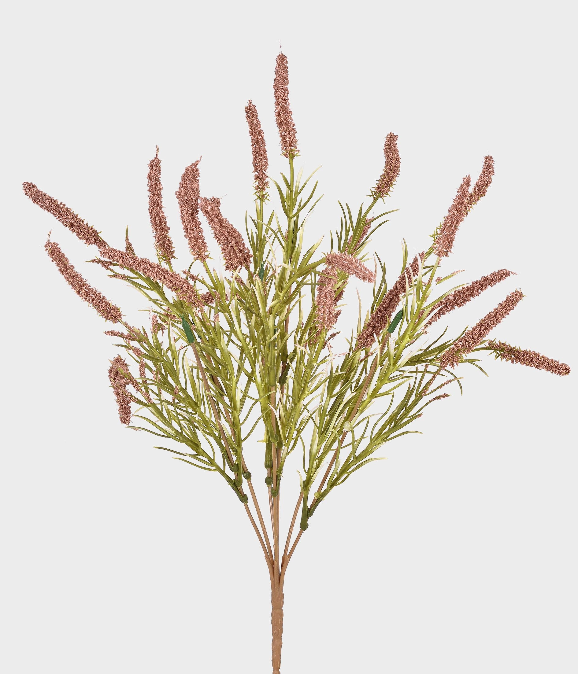 Buque Cattail X7 55288 102 Grillo