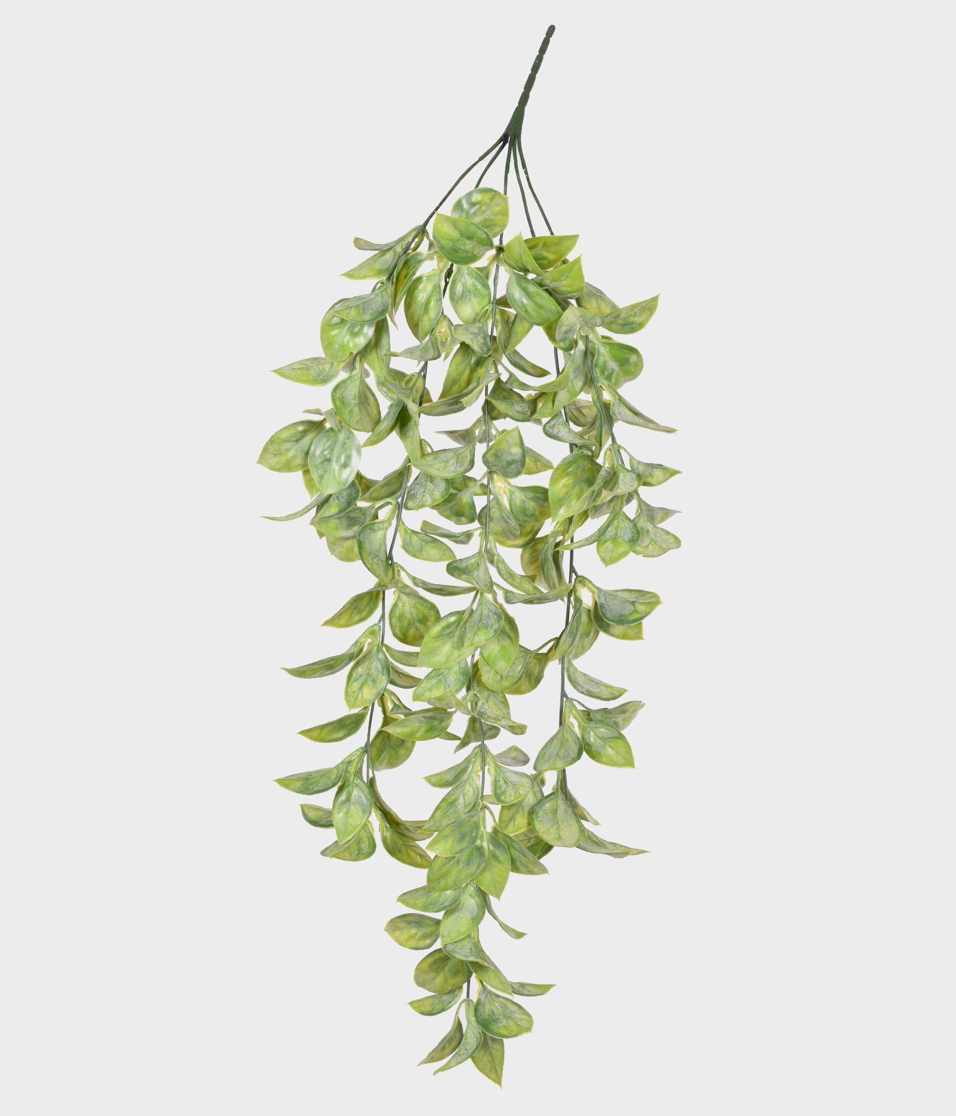 Pendente Folhas X5 55292 004 Grillo