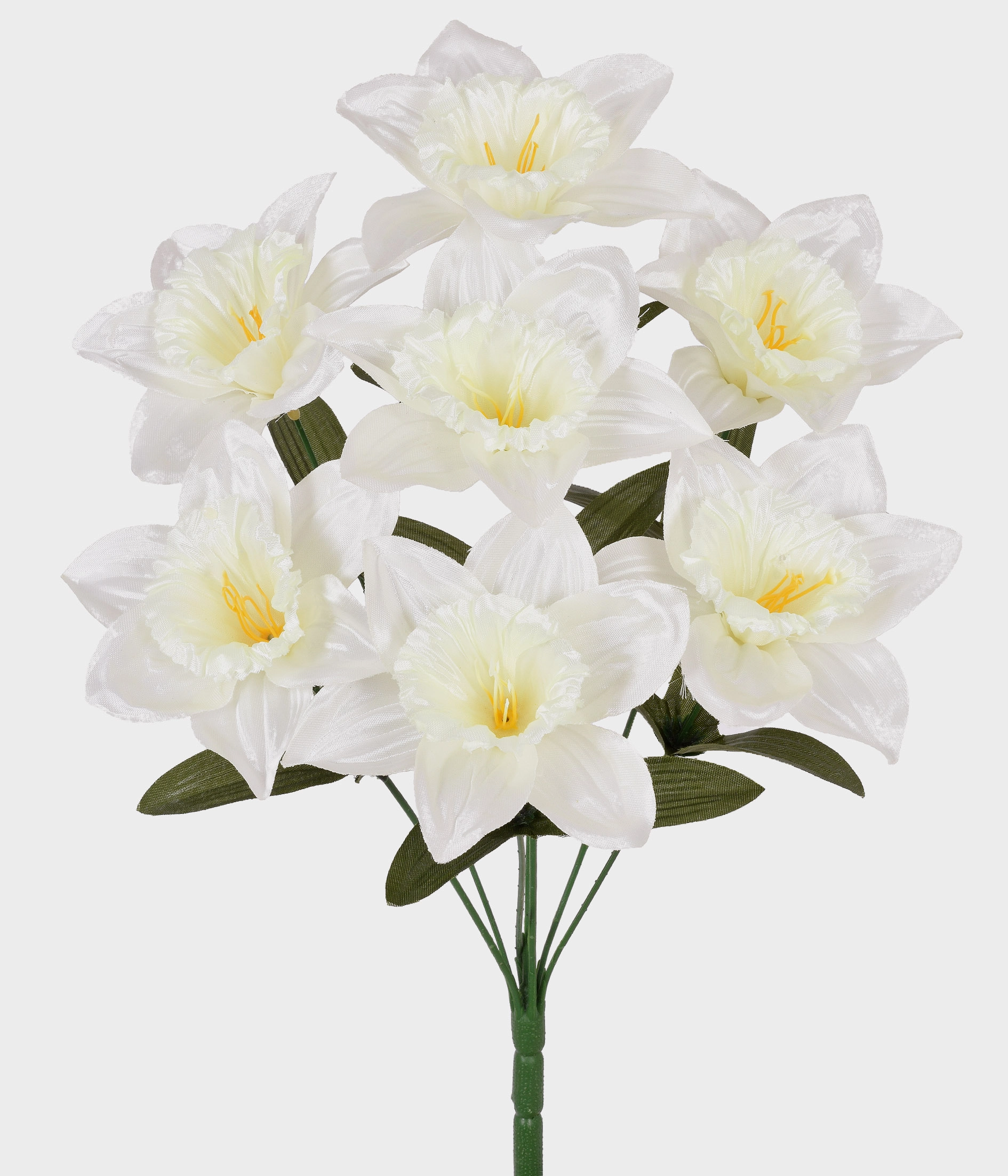 Buque Dafodille X7 55297 008 Grillo
