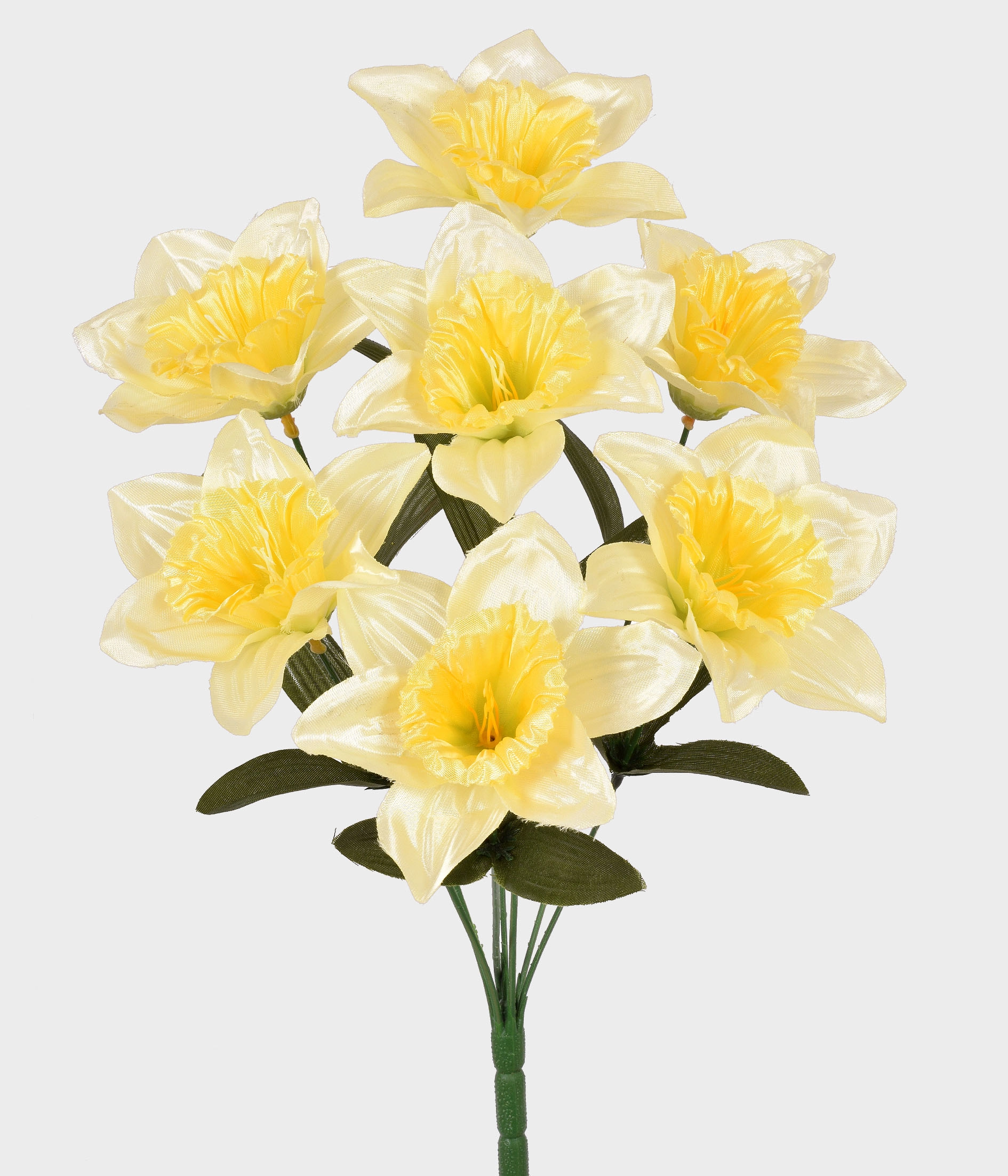 Buque Dafodille X7 55297 005 Grillo