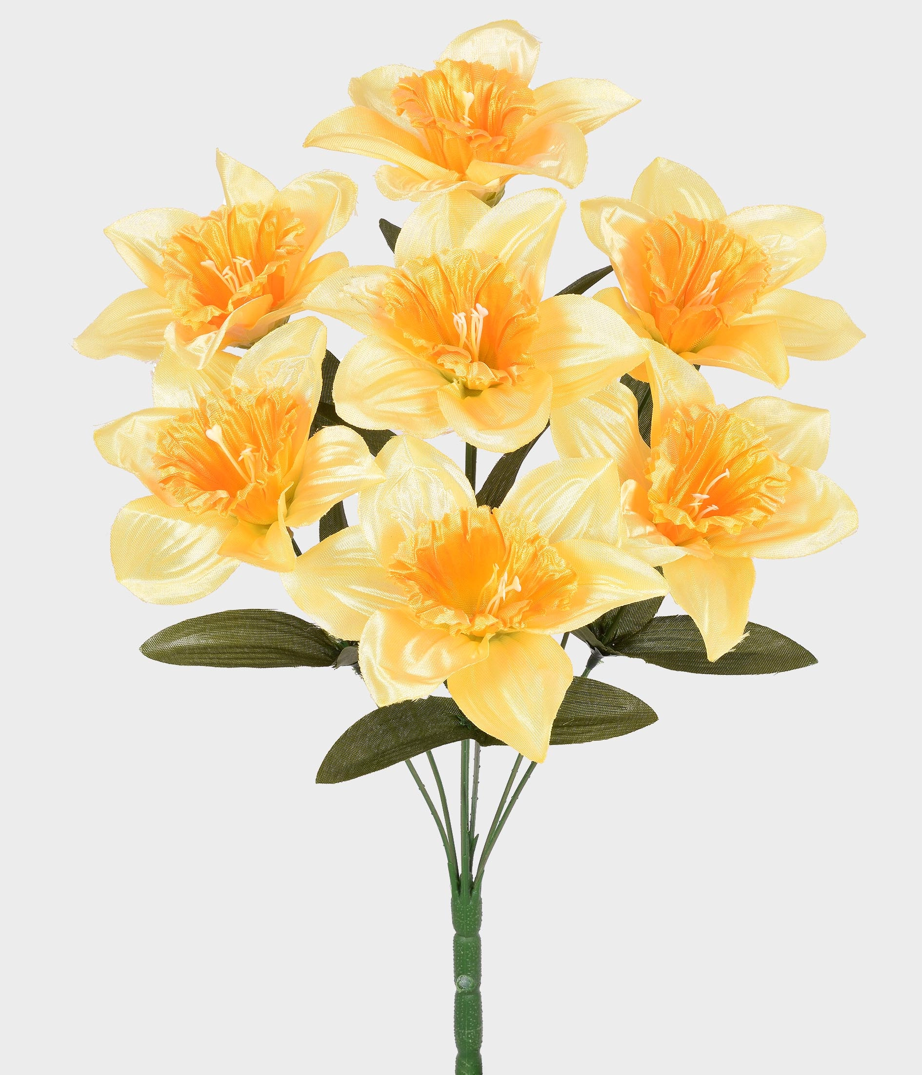 Buque Dafodille X7 55297 015 Grillo