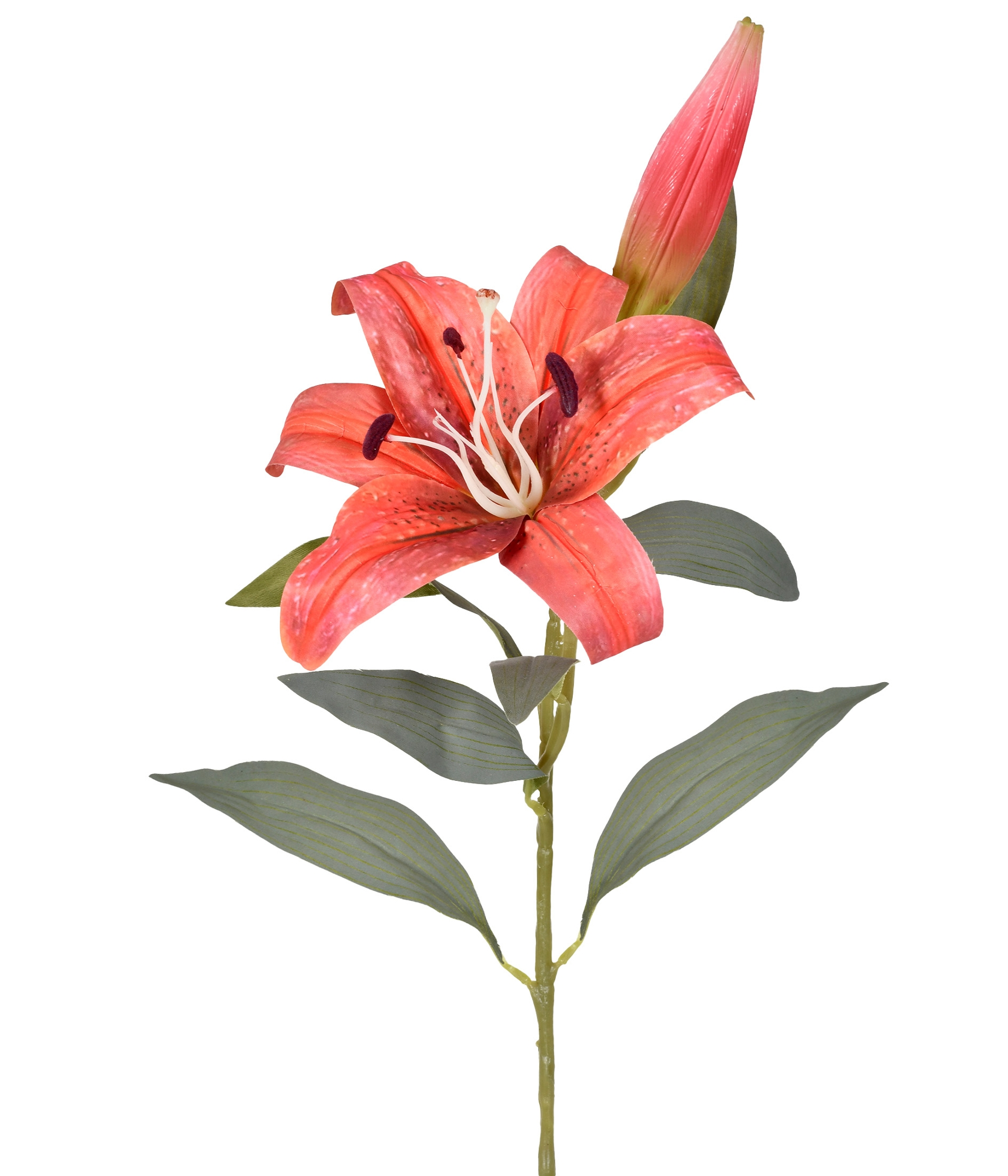 Ht Lirio Tigre 3d Vermelho