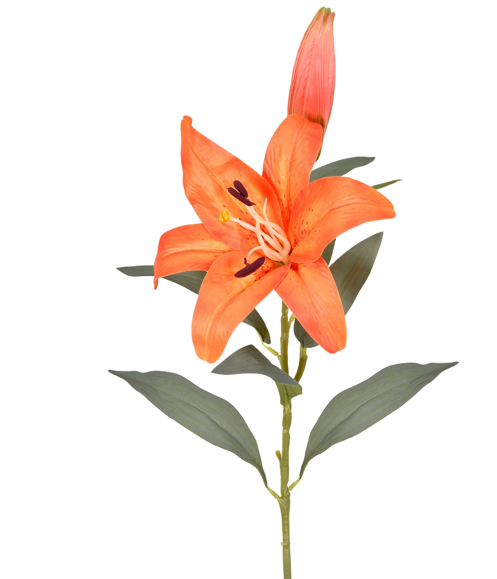 Ht Lirio Tigre 3d Laranja