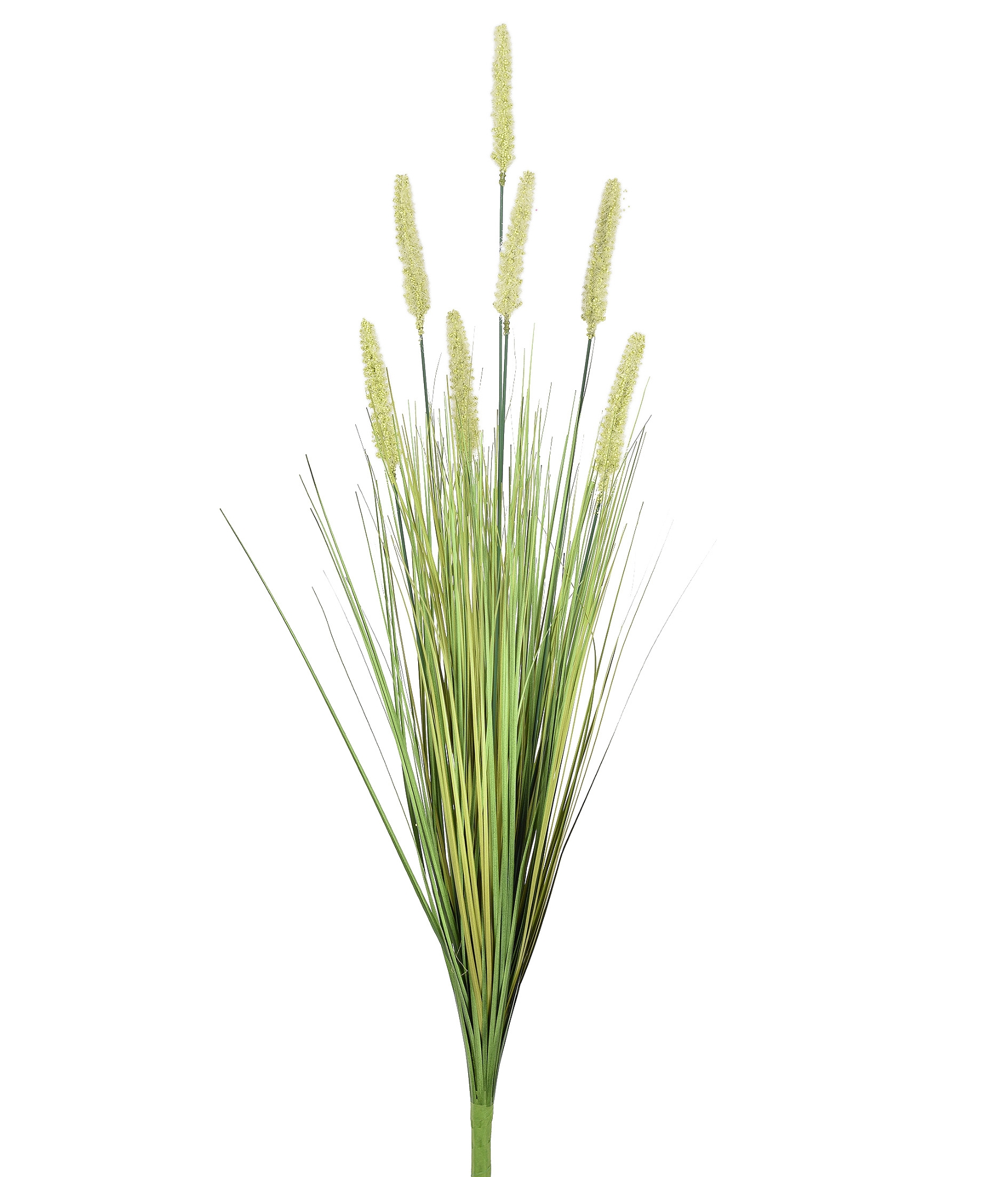 Buque Cattail X7 Verde 90cm 55332 004 Grillo