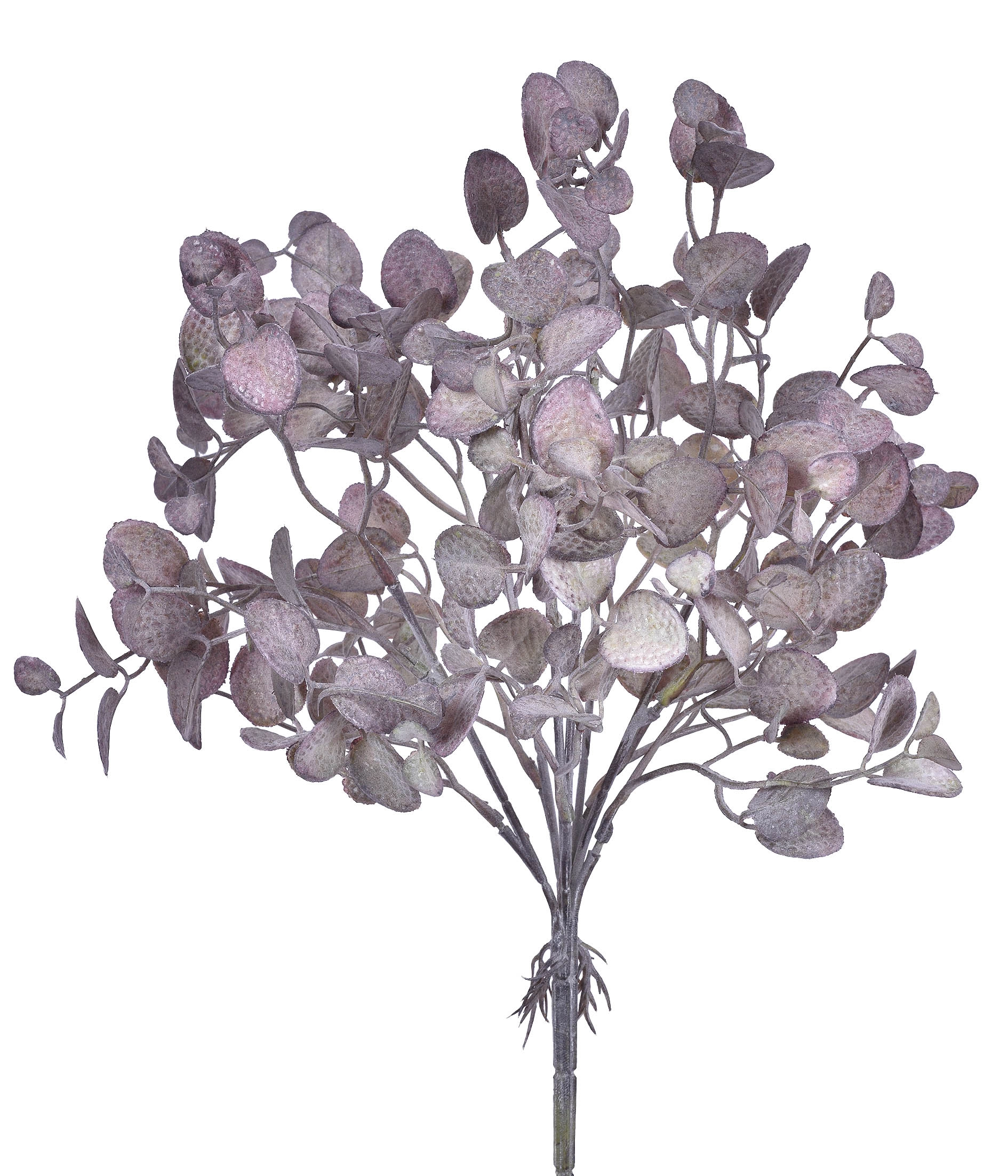 Buque Folhas Lavanda Outono X6 55356 113 Grillo