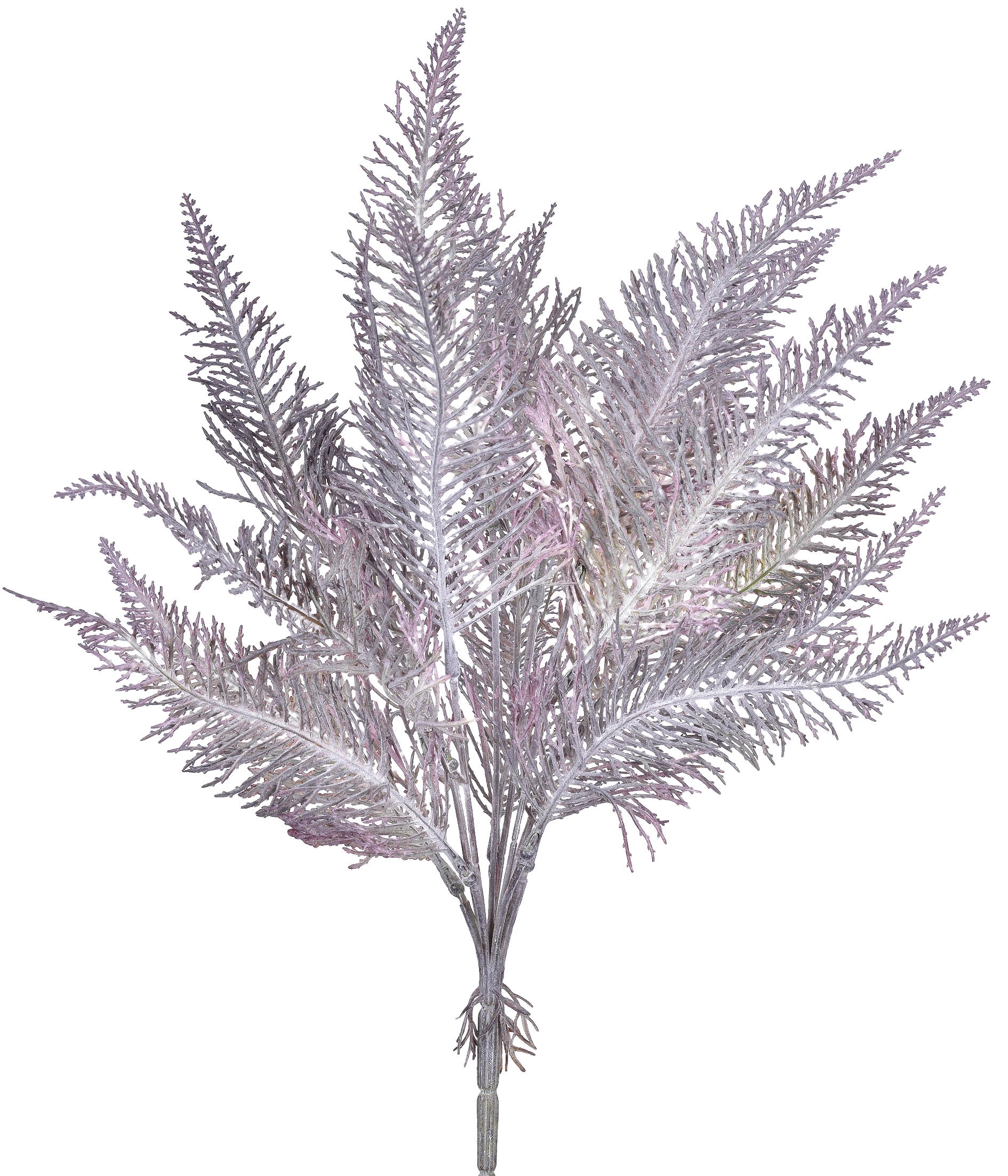 Buque Folhas Palmeira Lavanda Outono X6 55364 113 Grillo