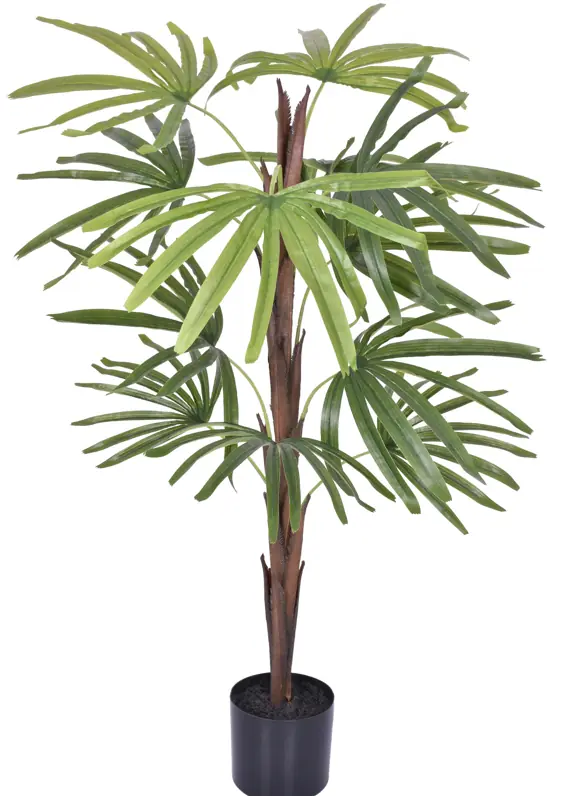 Pl Palmeira Leque Real Verde X12 Ref.55463 004 Grillo