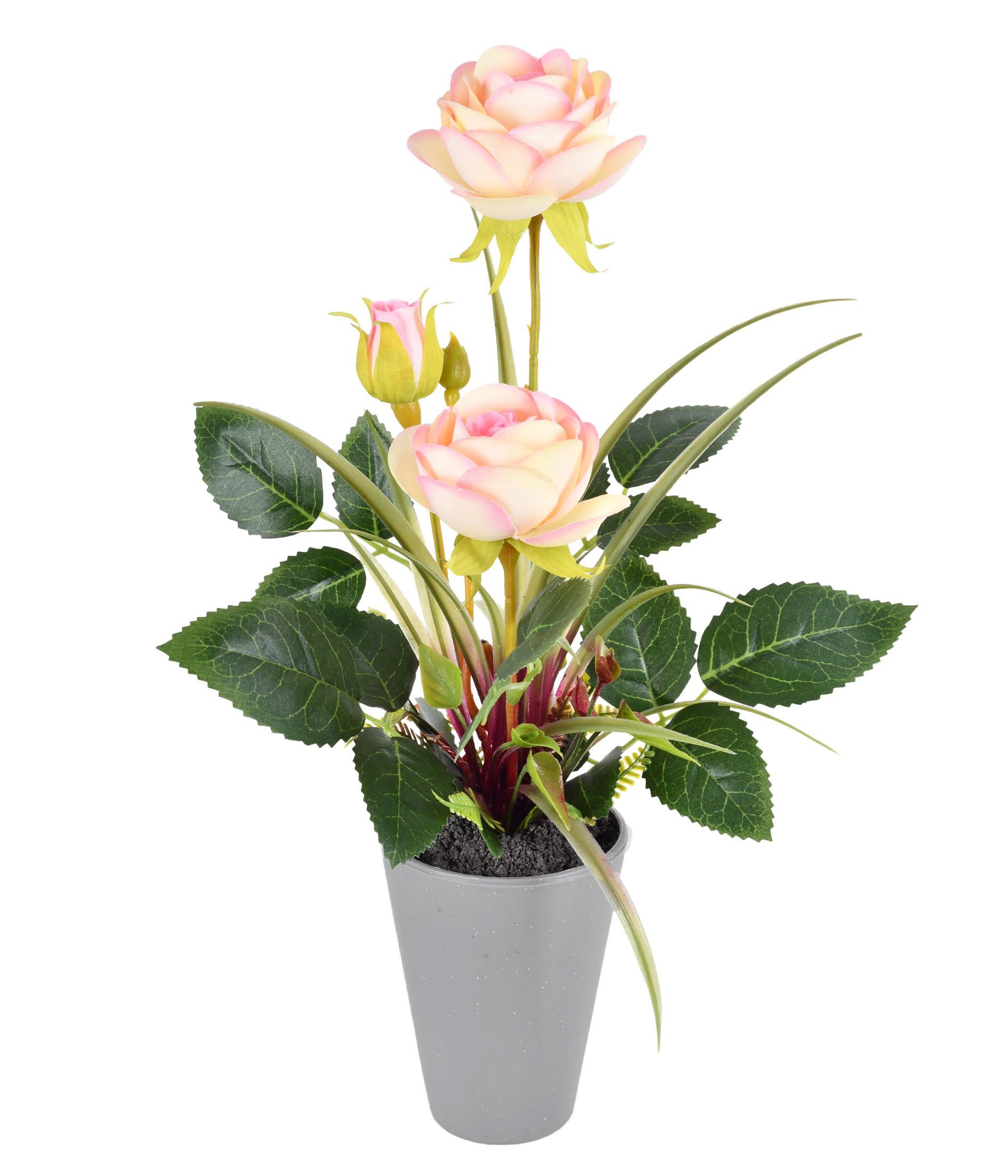 Arranjo Rosa X3 No Pote Rosa
