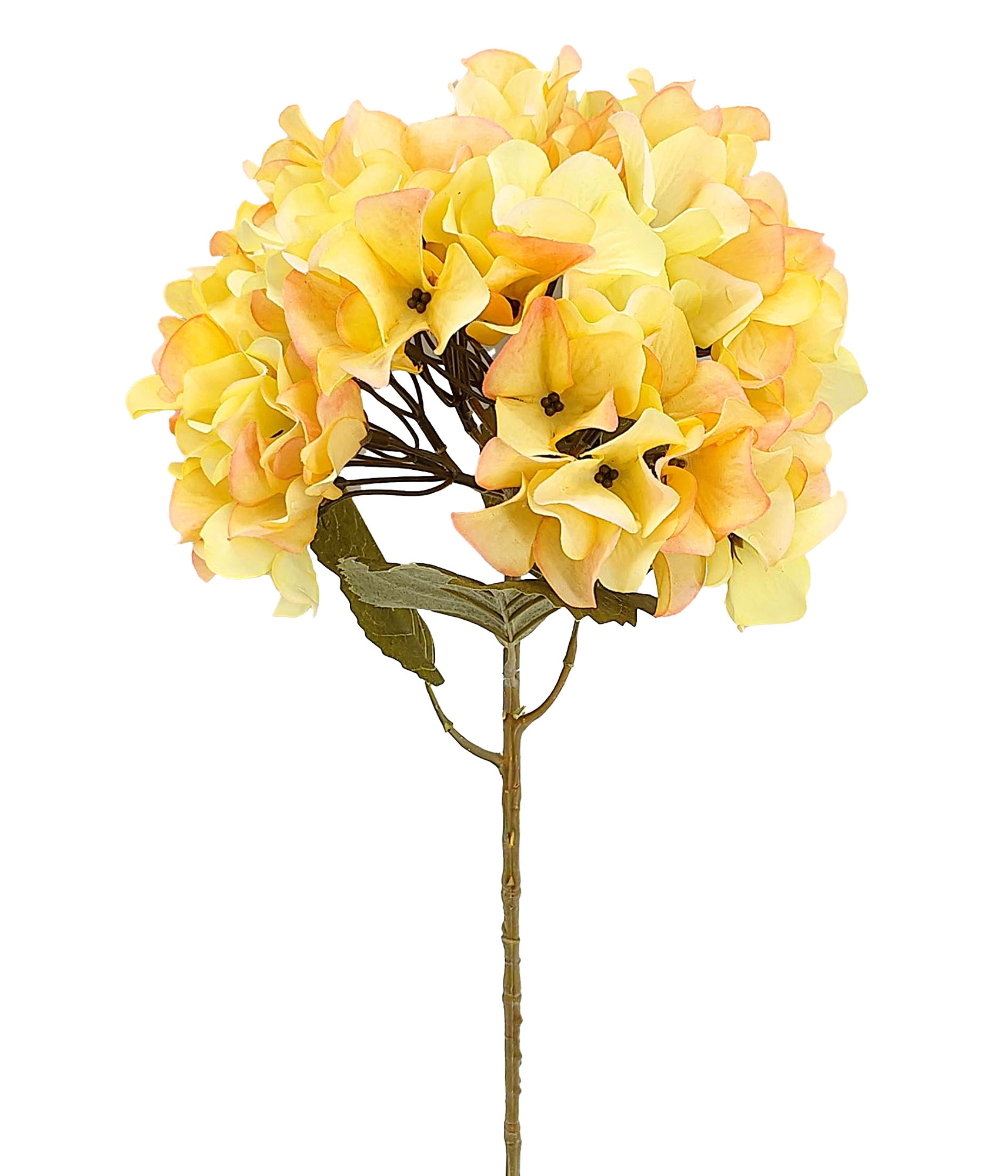 Haste Hortensia Pessego 57725 025 Grillo