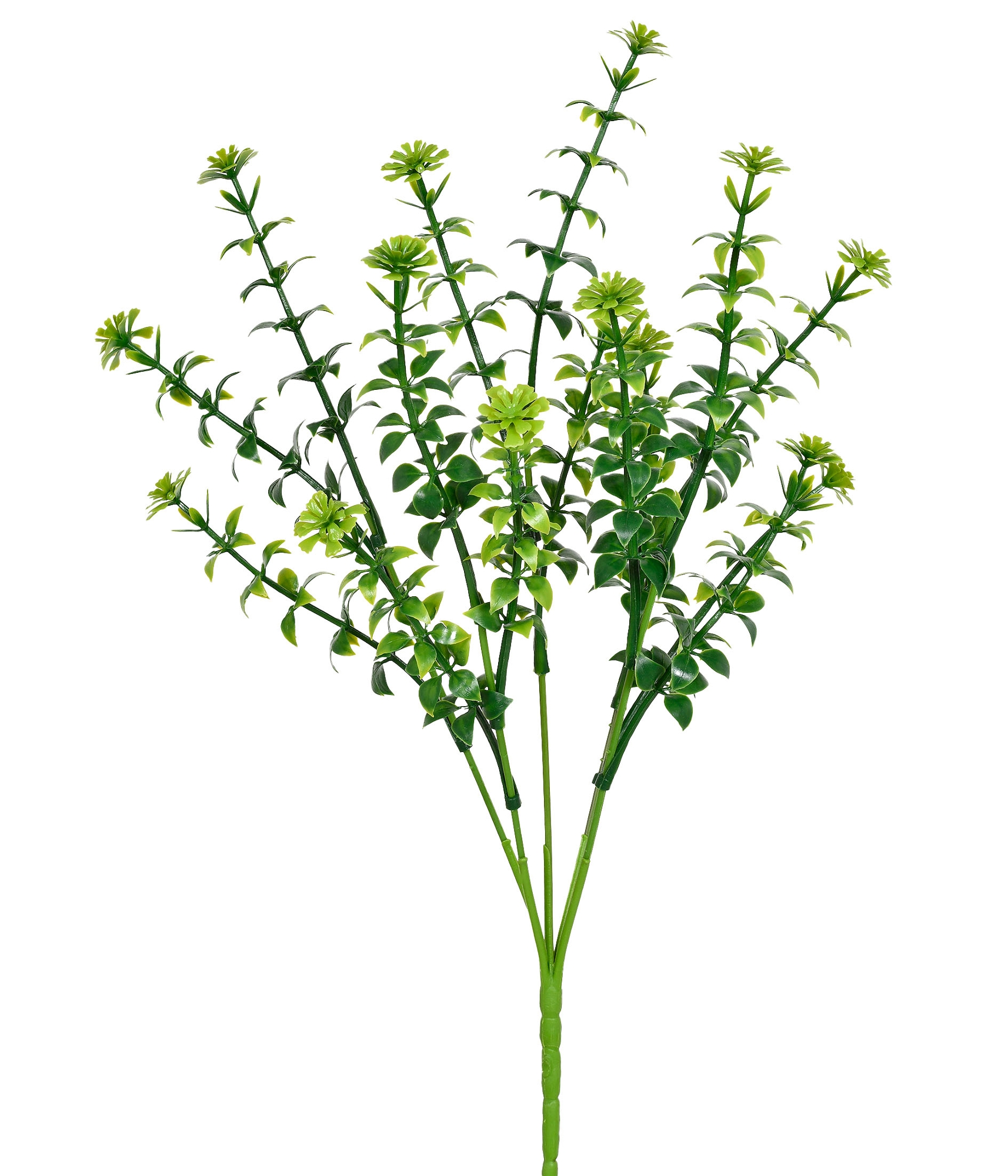 Buque Folhas X5 M8 Verde 35cm 57792 575 Grillo