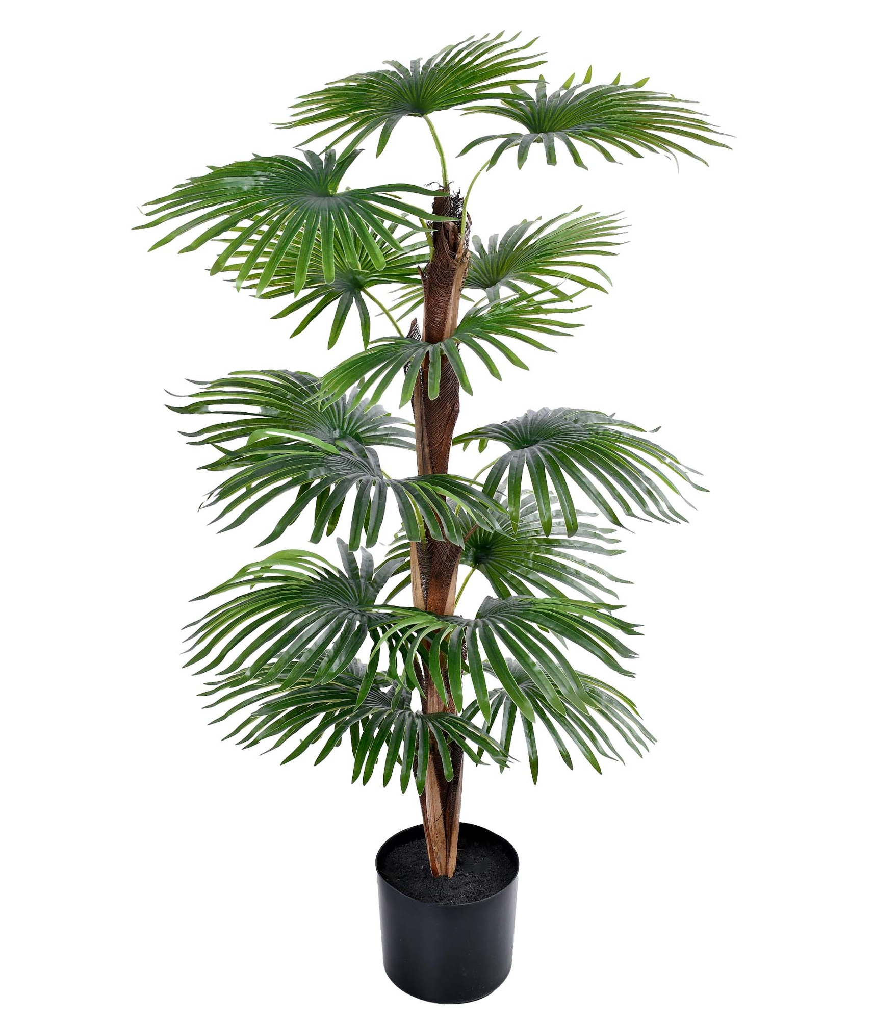 Palmeira Leque Pote Verde 95cm 57934 004 Grillo