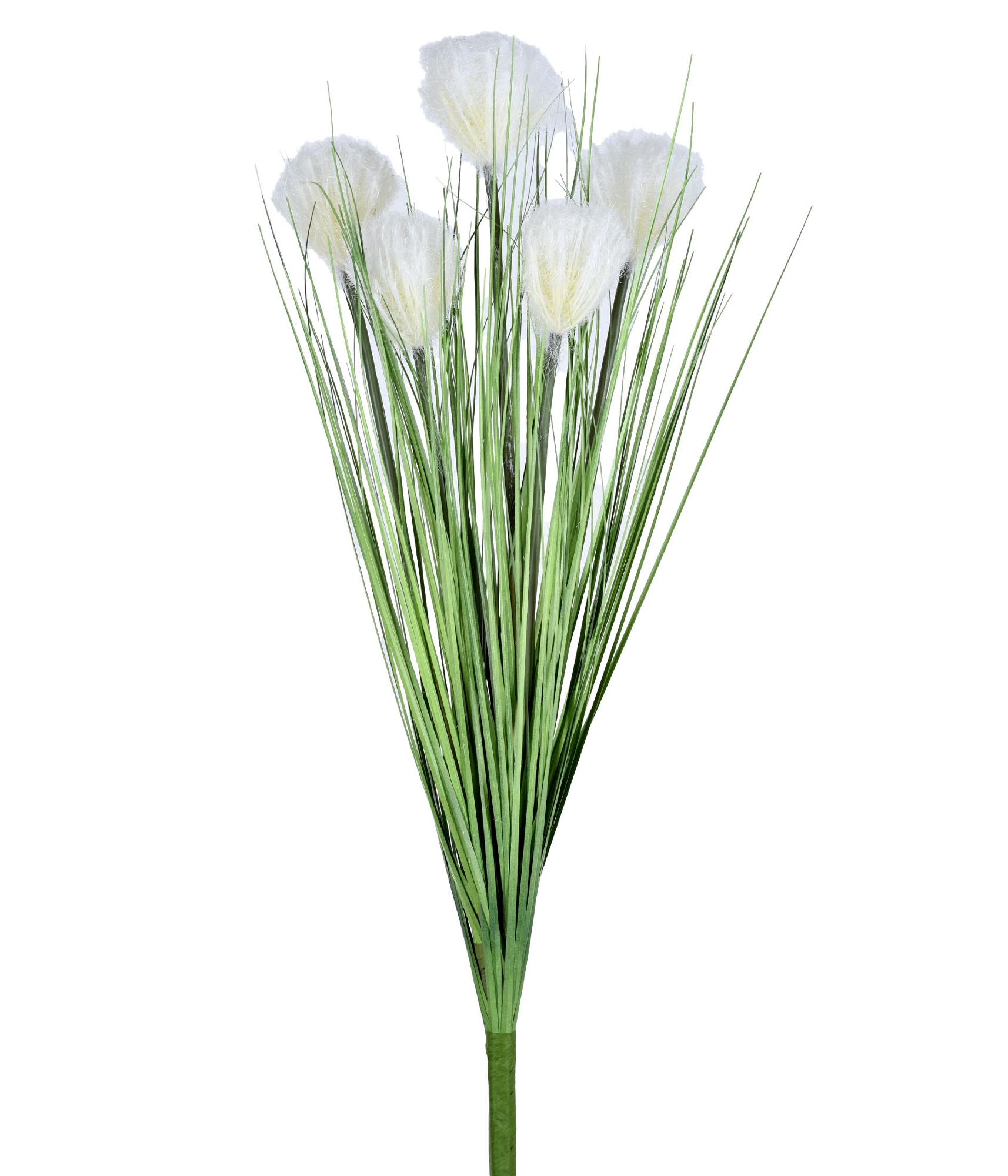 Buque Pompom X5 Creme 70cm 58019 010 Grillo