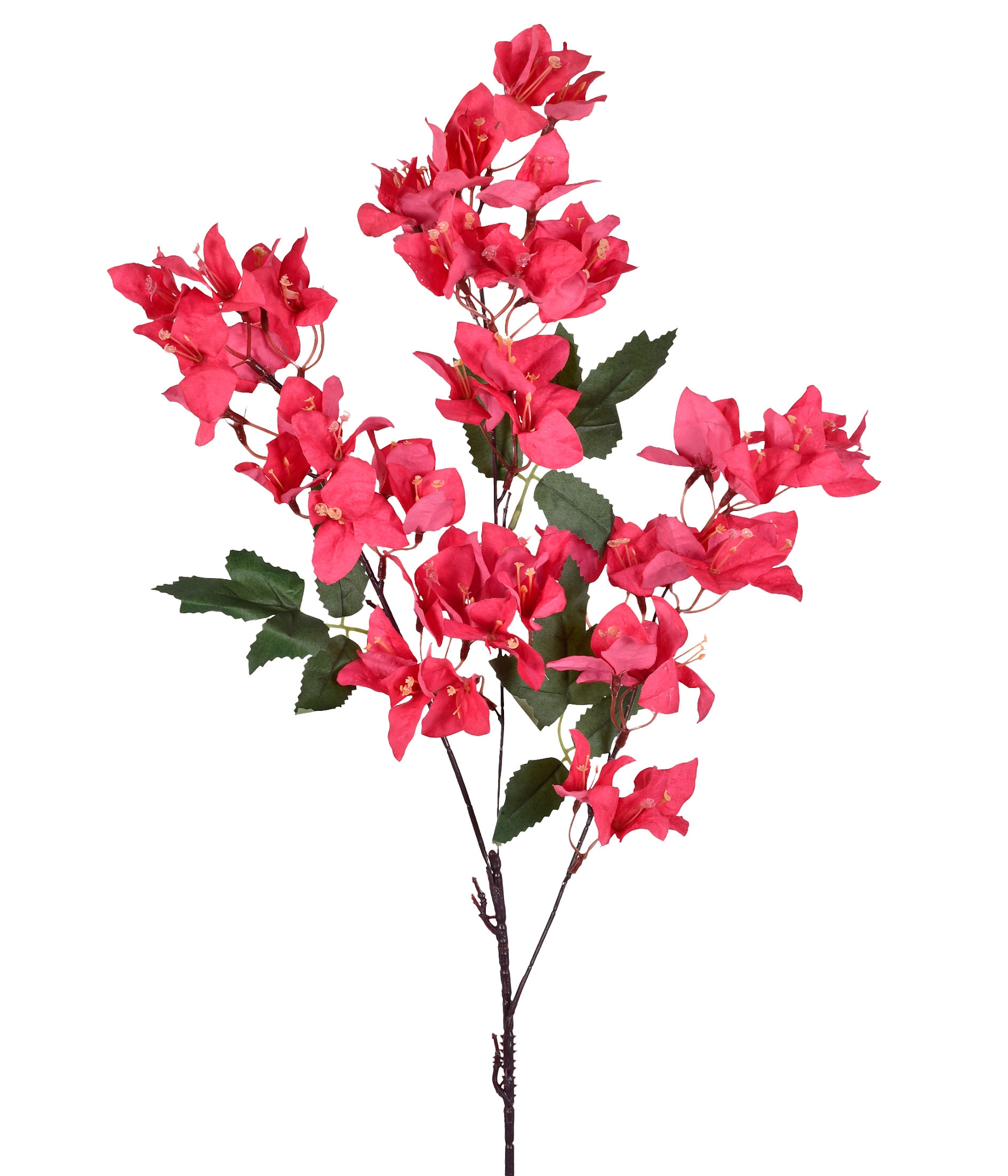 Haste Bougainville Rosa Escuro X3 58063 488 Grillo