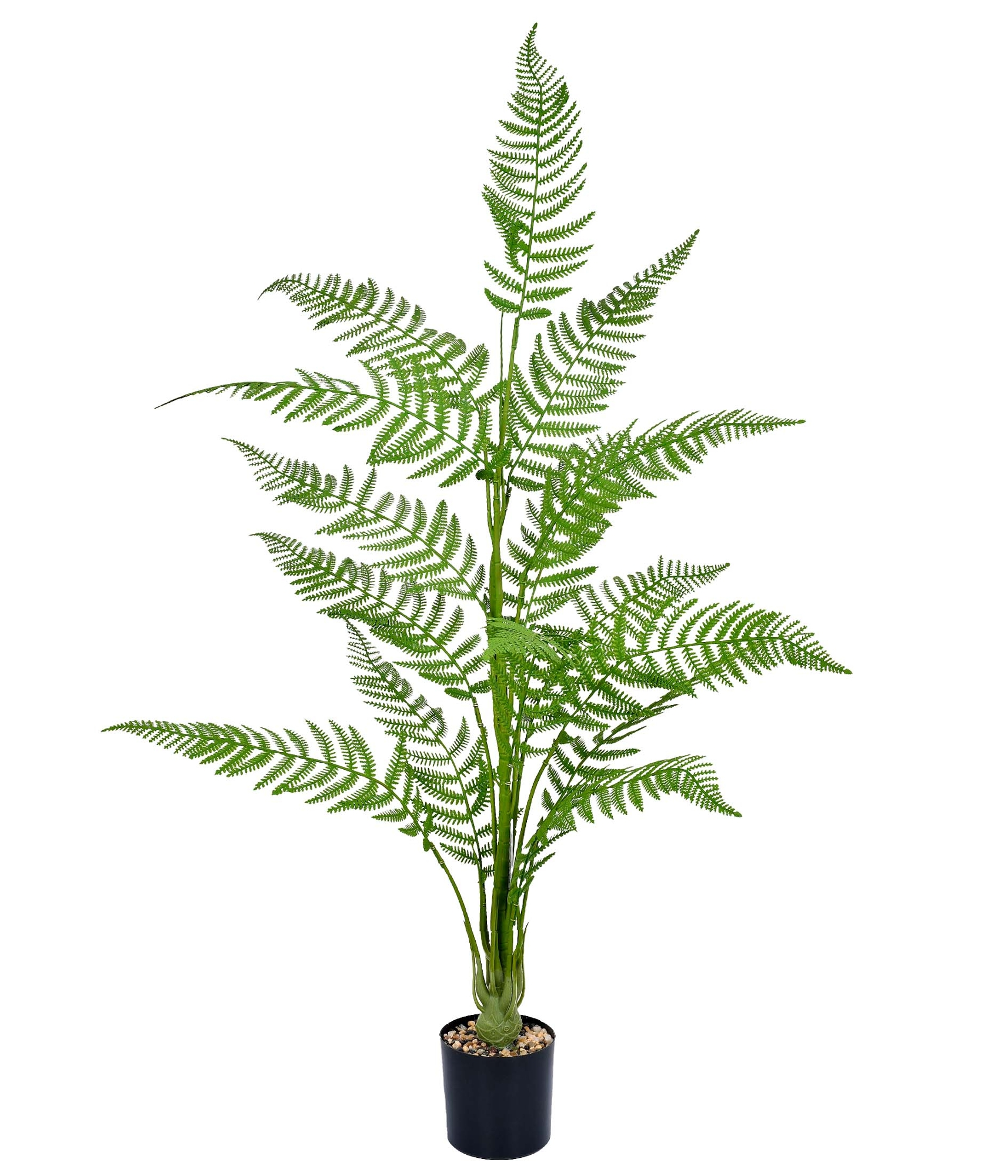 Samambaia Pote Verde 115cm 62971 004 Grillo
