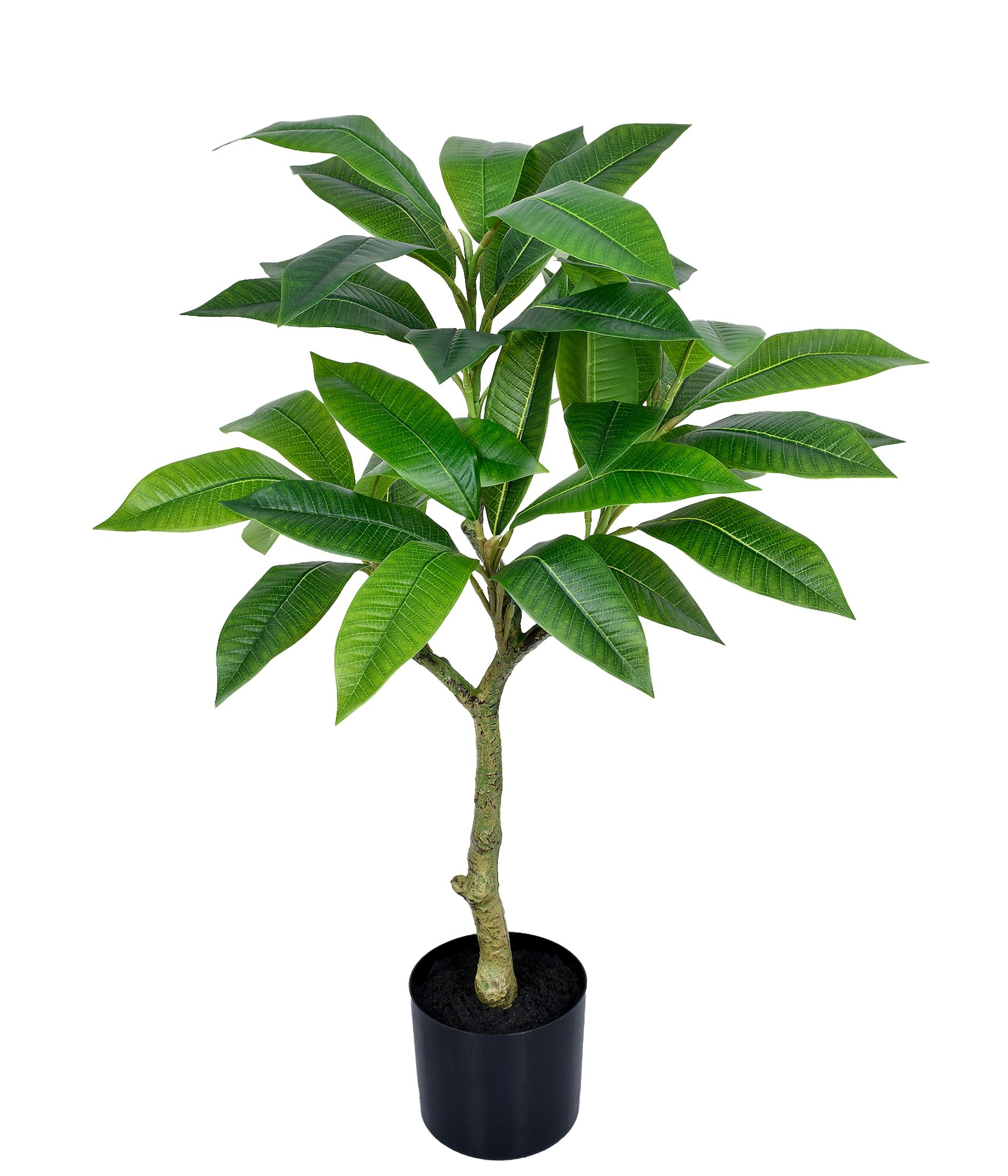 Palmeira Areca Pote Verde 90cm 63152 004 Grillo