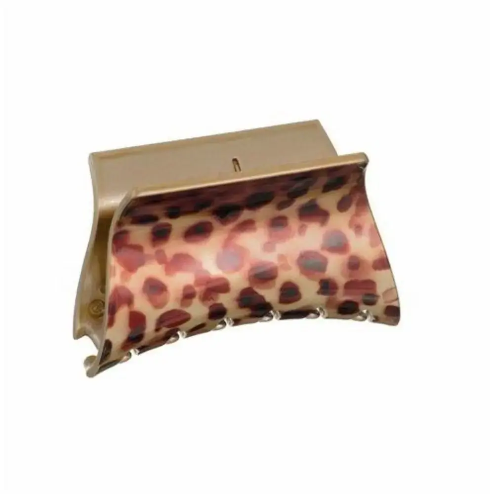 Finestra R.f22875 Piranha Tartaruga