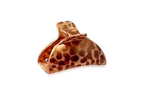 Finestra R.f2818ap Piranha Animal