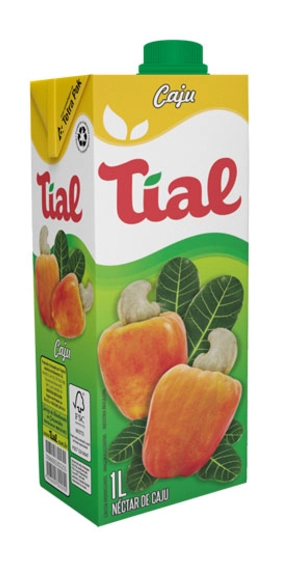 Suco Pronto Tial Caju 1l