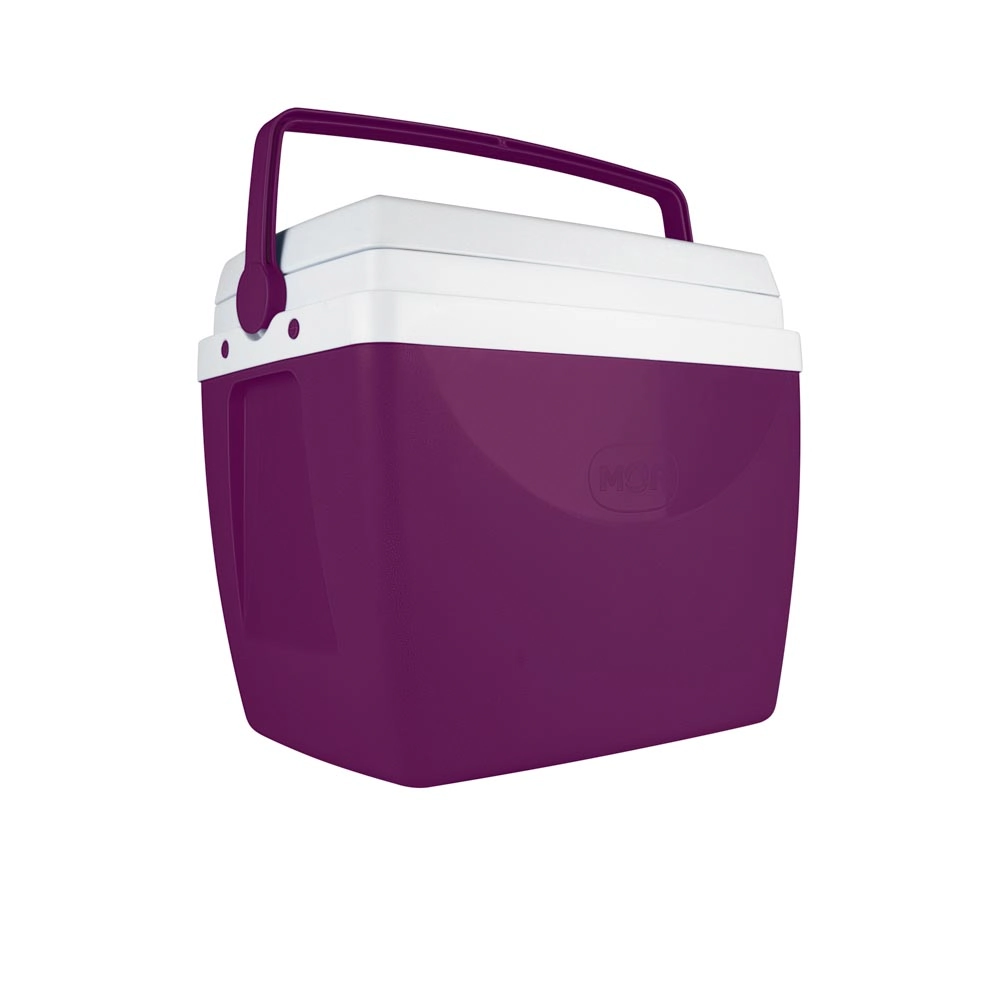 Caixa Termica 34L Berinjela - Roxo