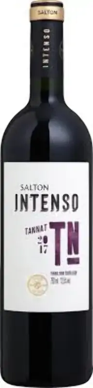 Vinho Salton Intenso 750ml Tannat