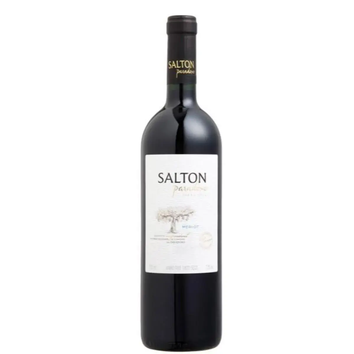 Vinho Brasileiro Tinto SALTON Paradoxo Merlot Garrafa 750ml