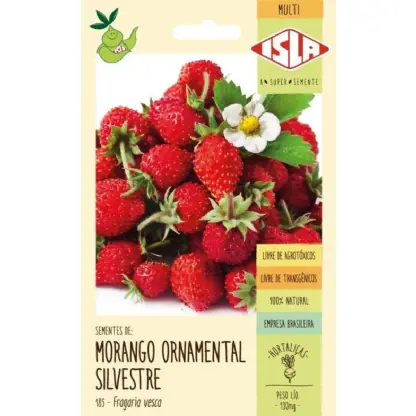 Sementes Isla Morango Ornamental Silvestre