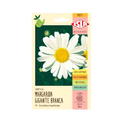 Semente Margarida Branca 414.23 Agrocape