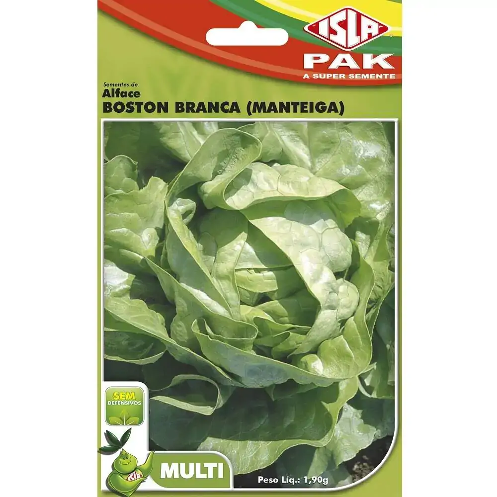 Sementes Alface Boston Branca Manteiga Isla