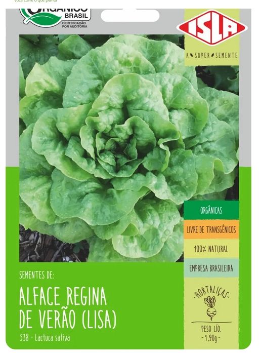 Alface Regina De Verao
